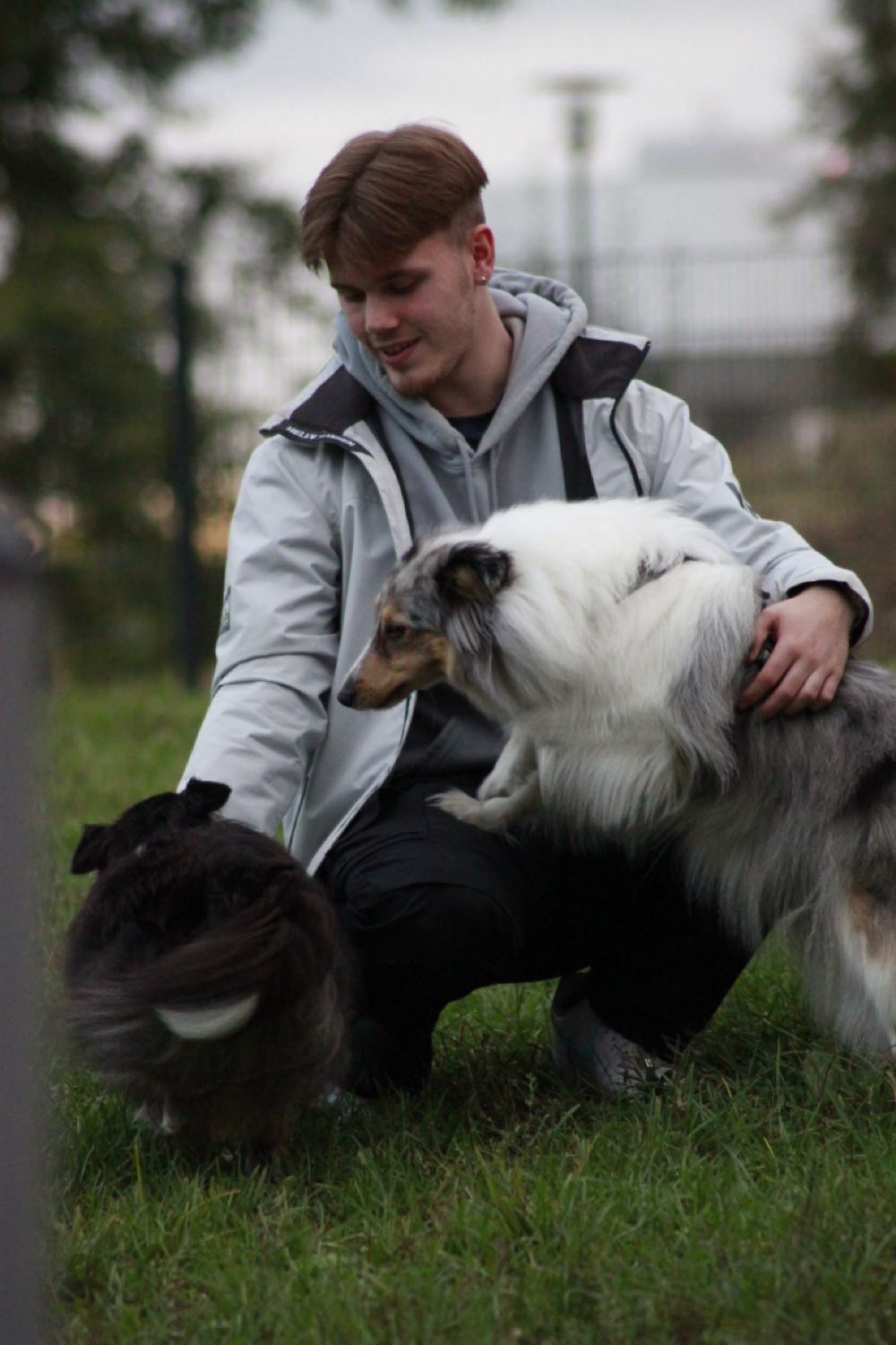 image-9