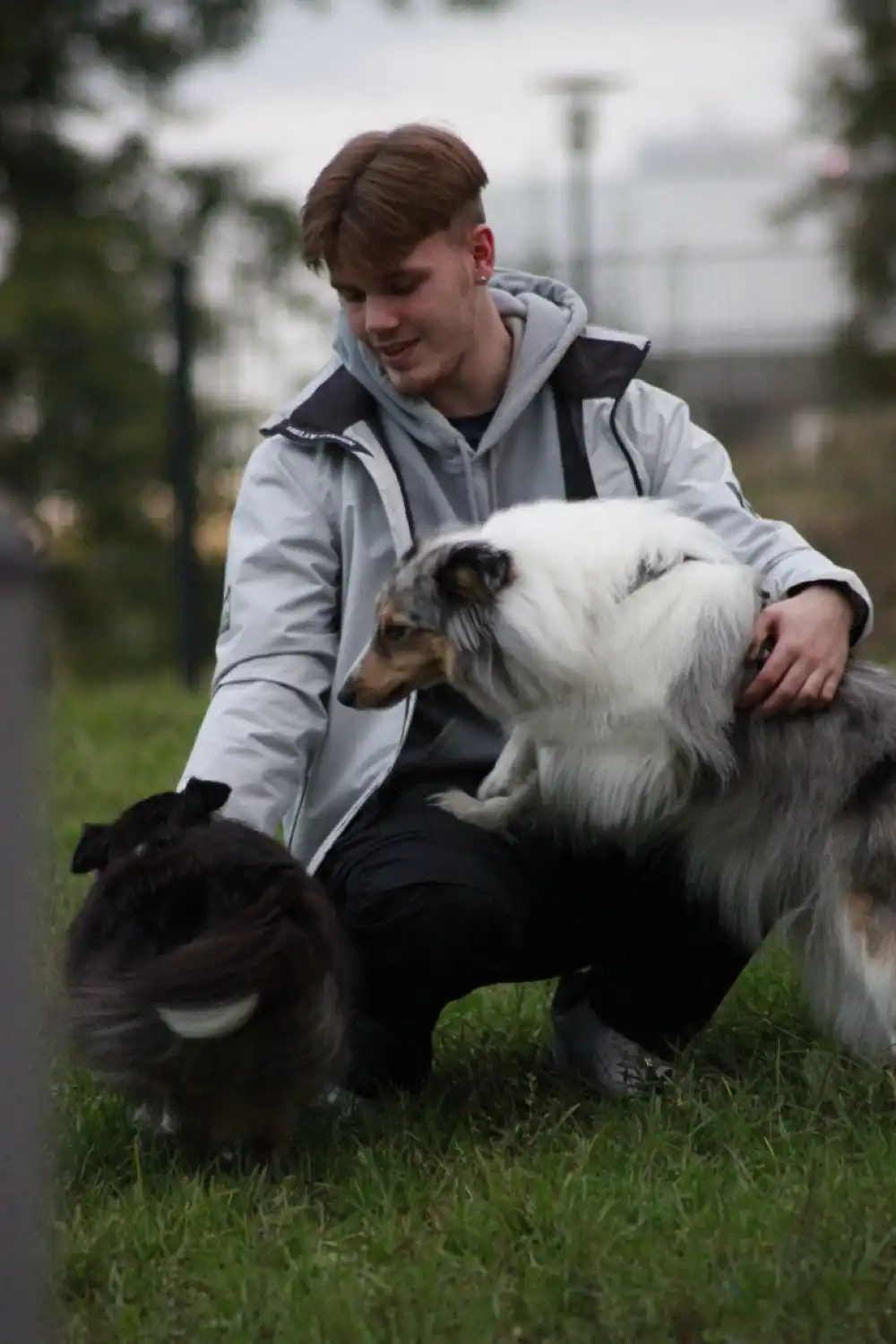 image-9