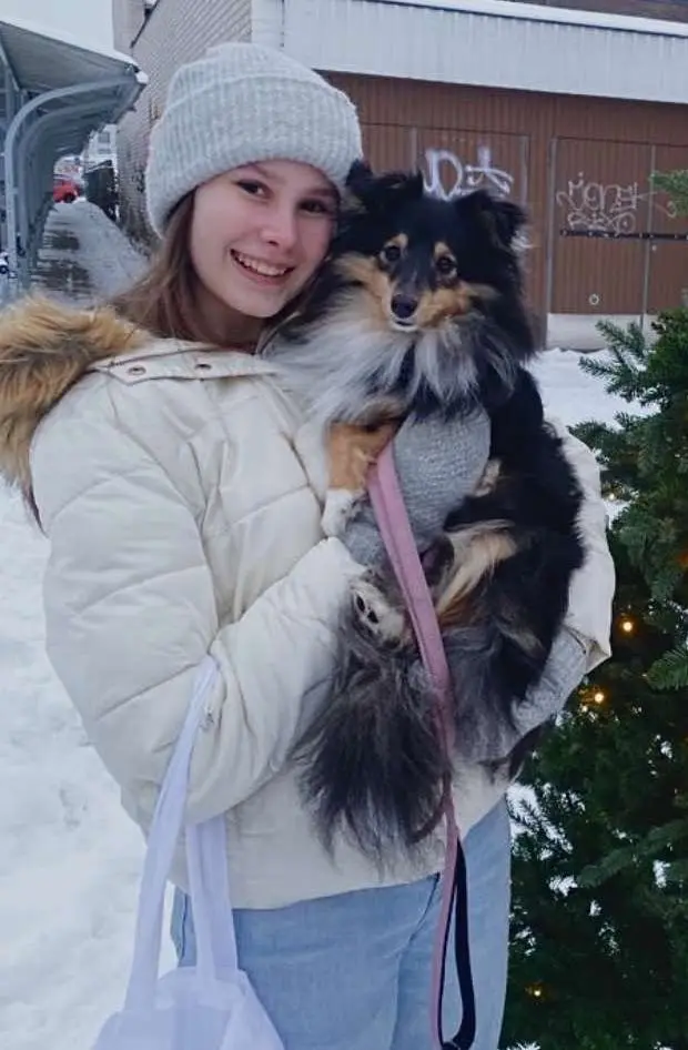 image-2