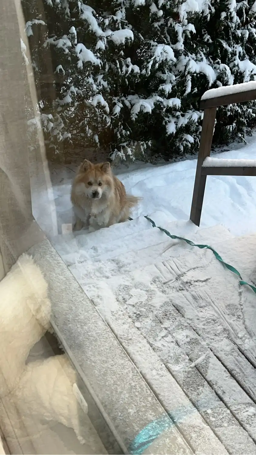 image-7