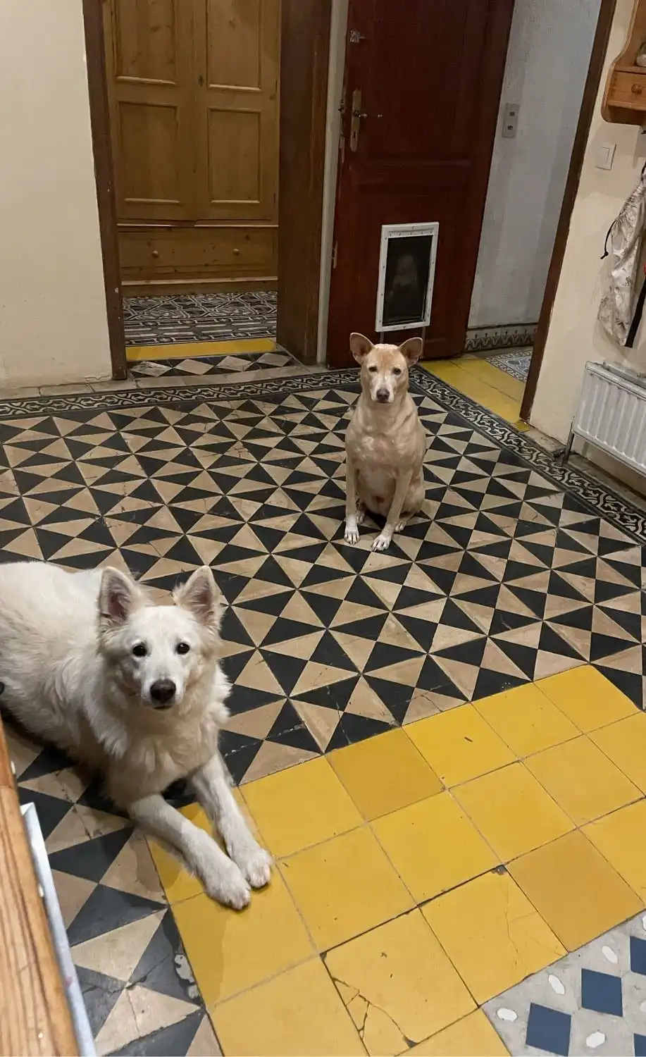 image-9