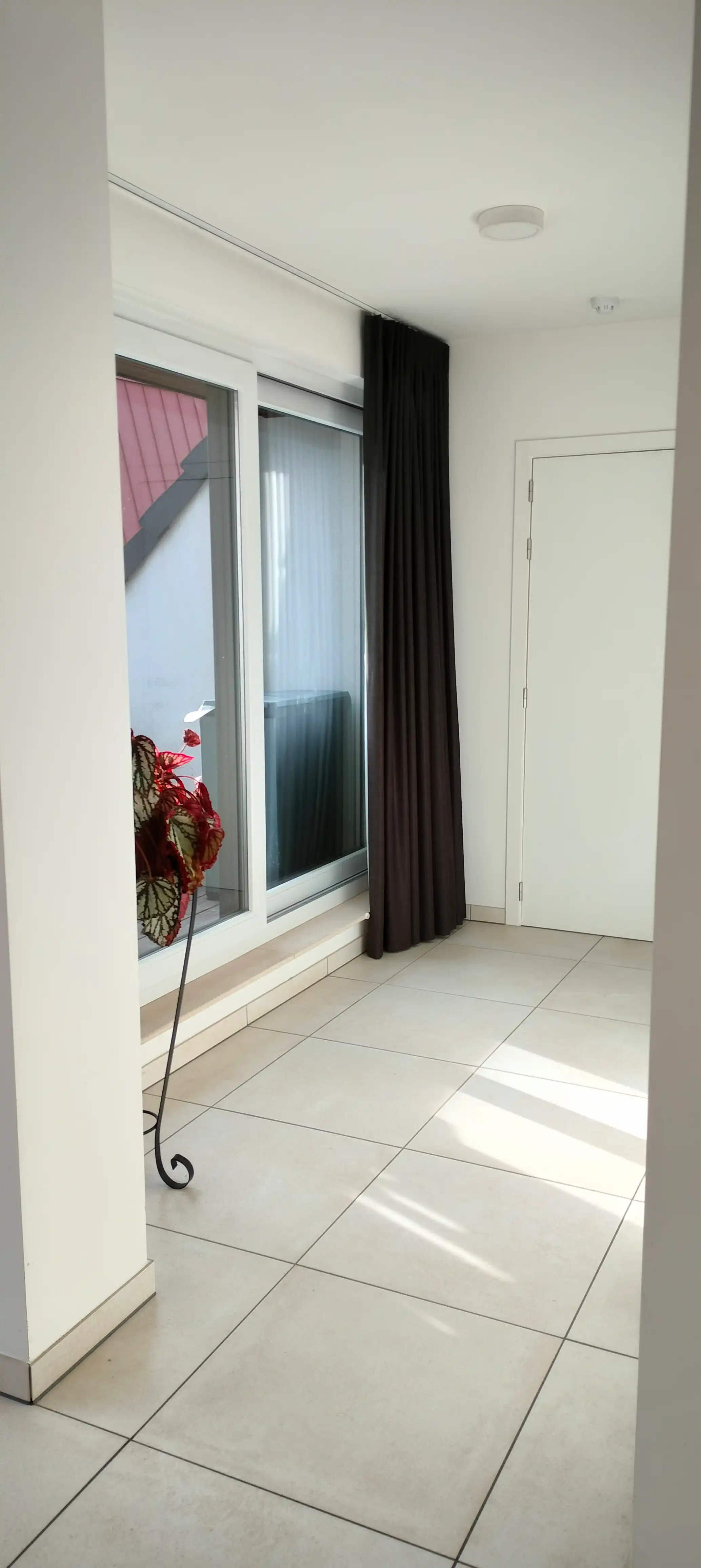 image-20