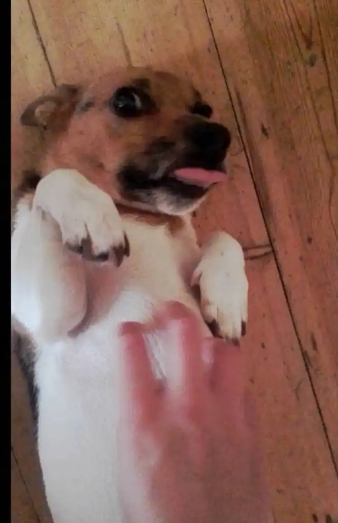 image-6