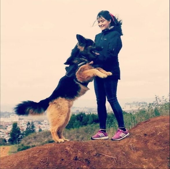 image-5