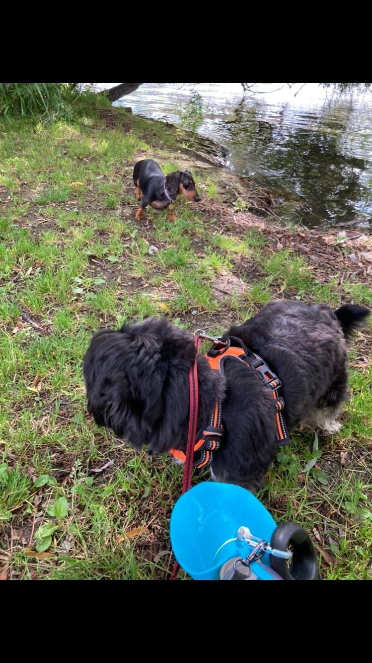 image-37