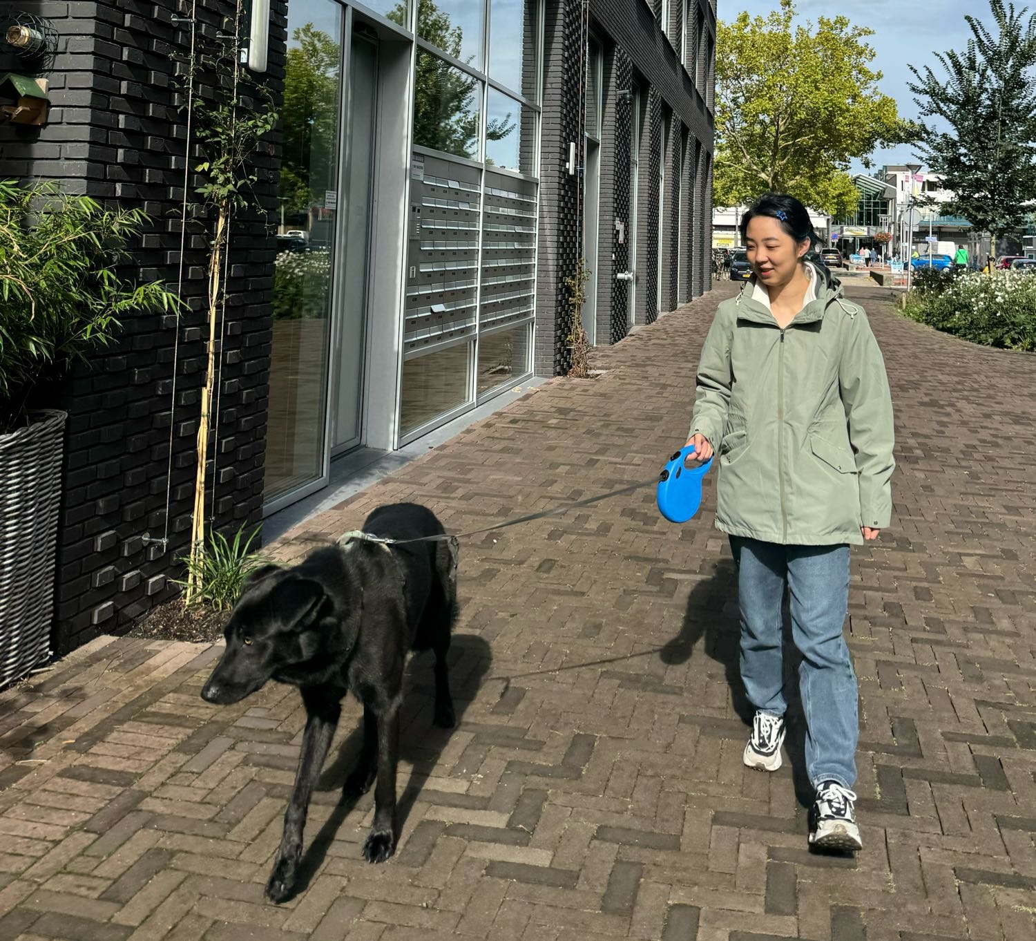 image-6