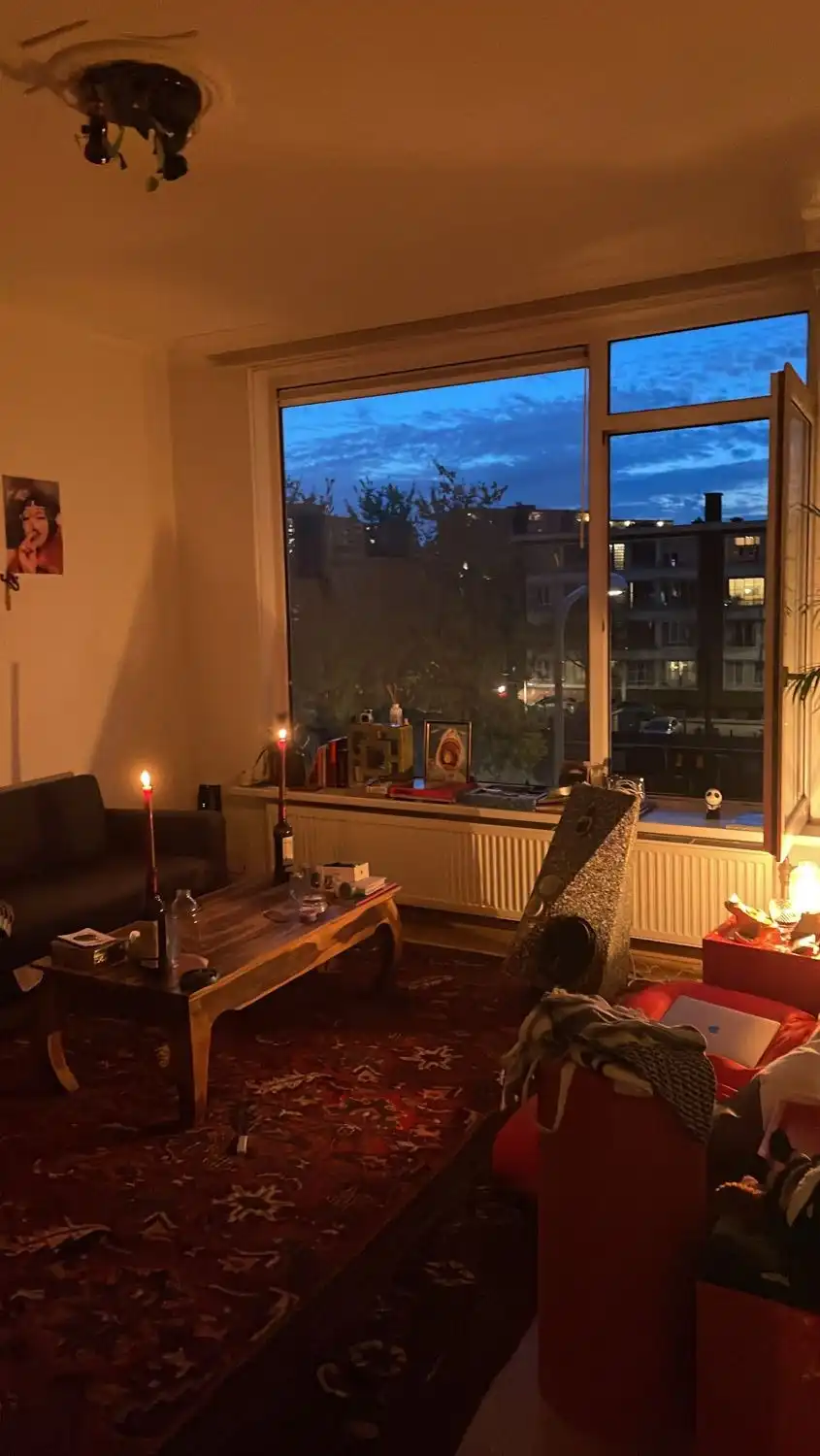 image-7