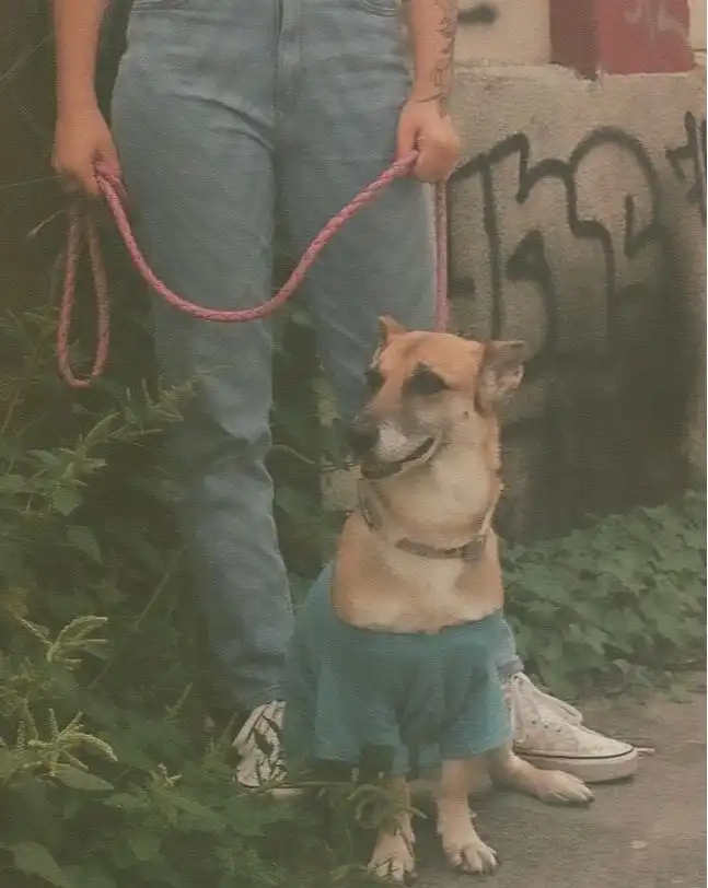 image-14