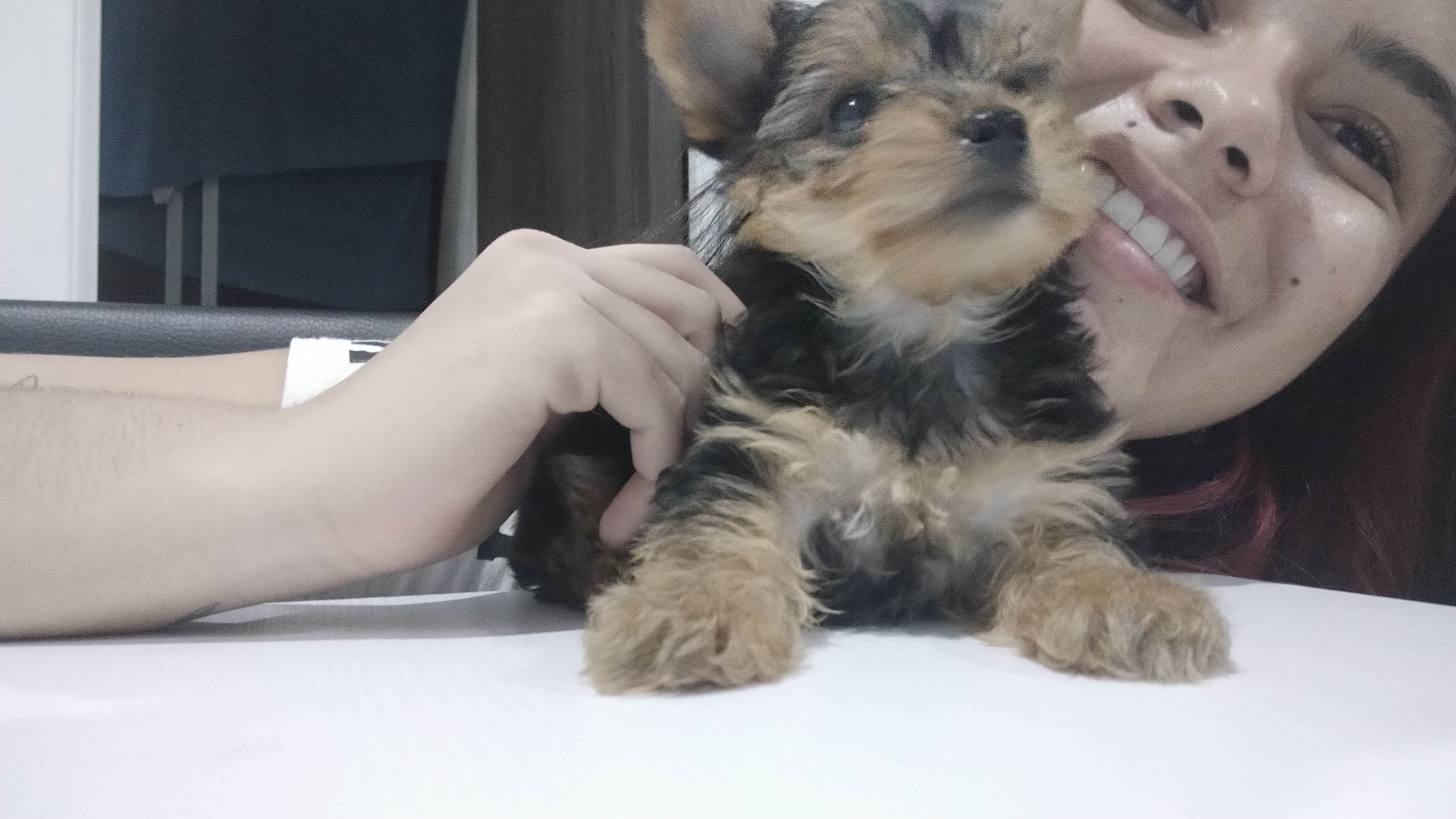 image-6