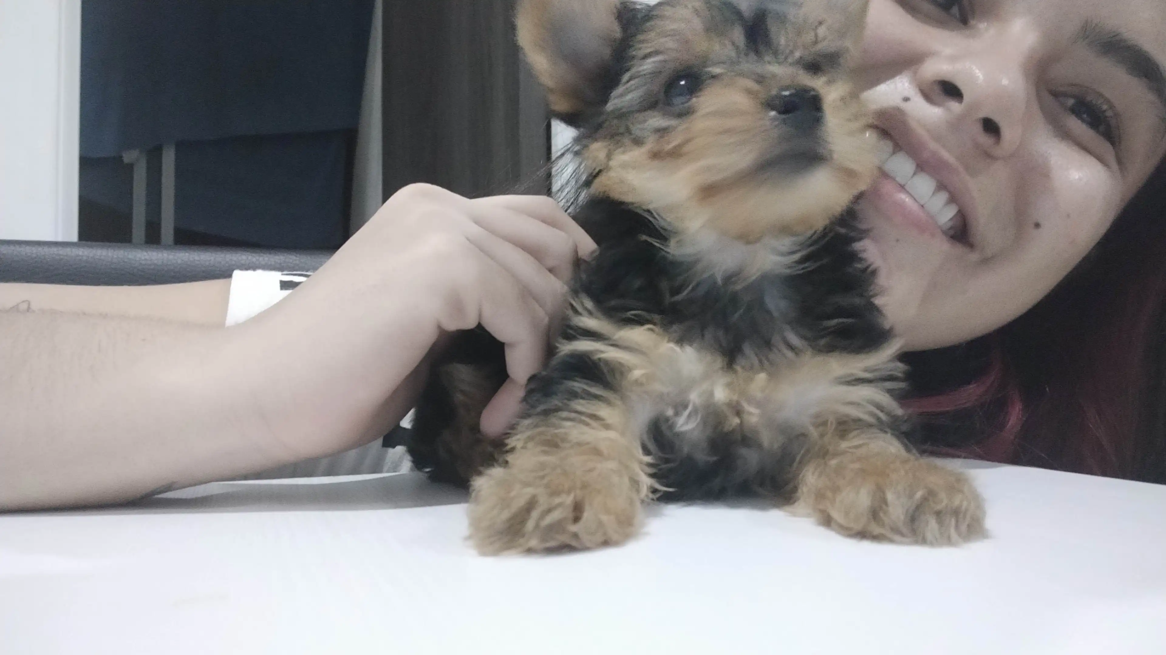 image-6