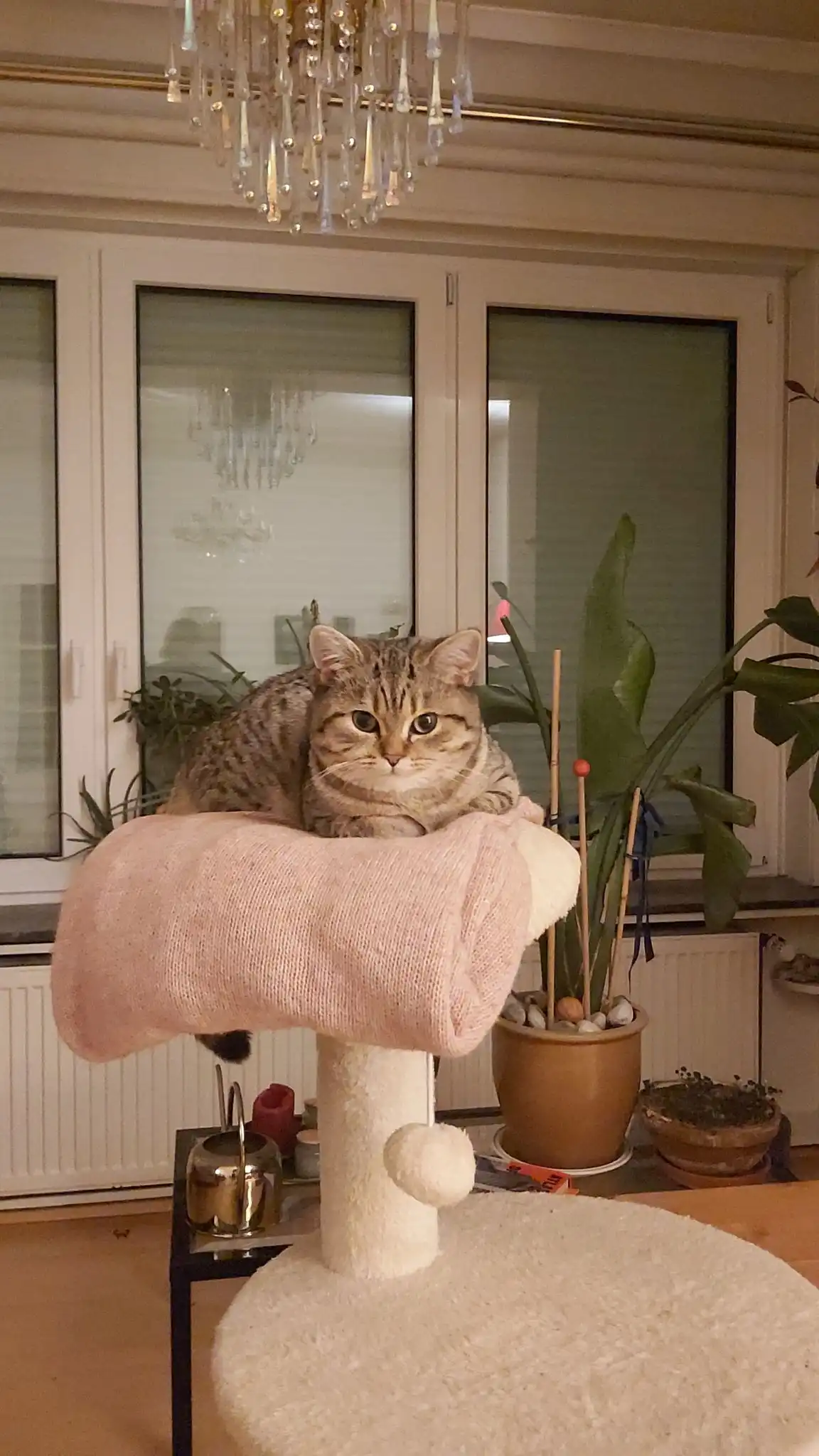 image-13
