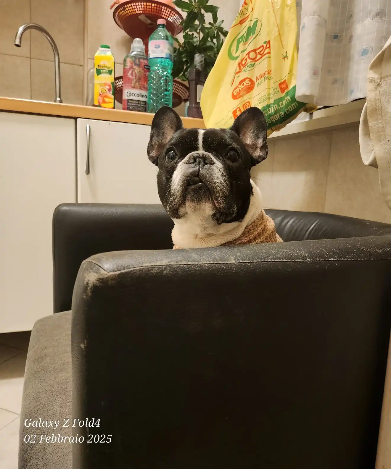 image-35