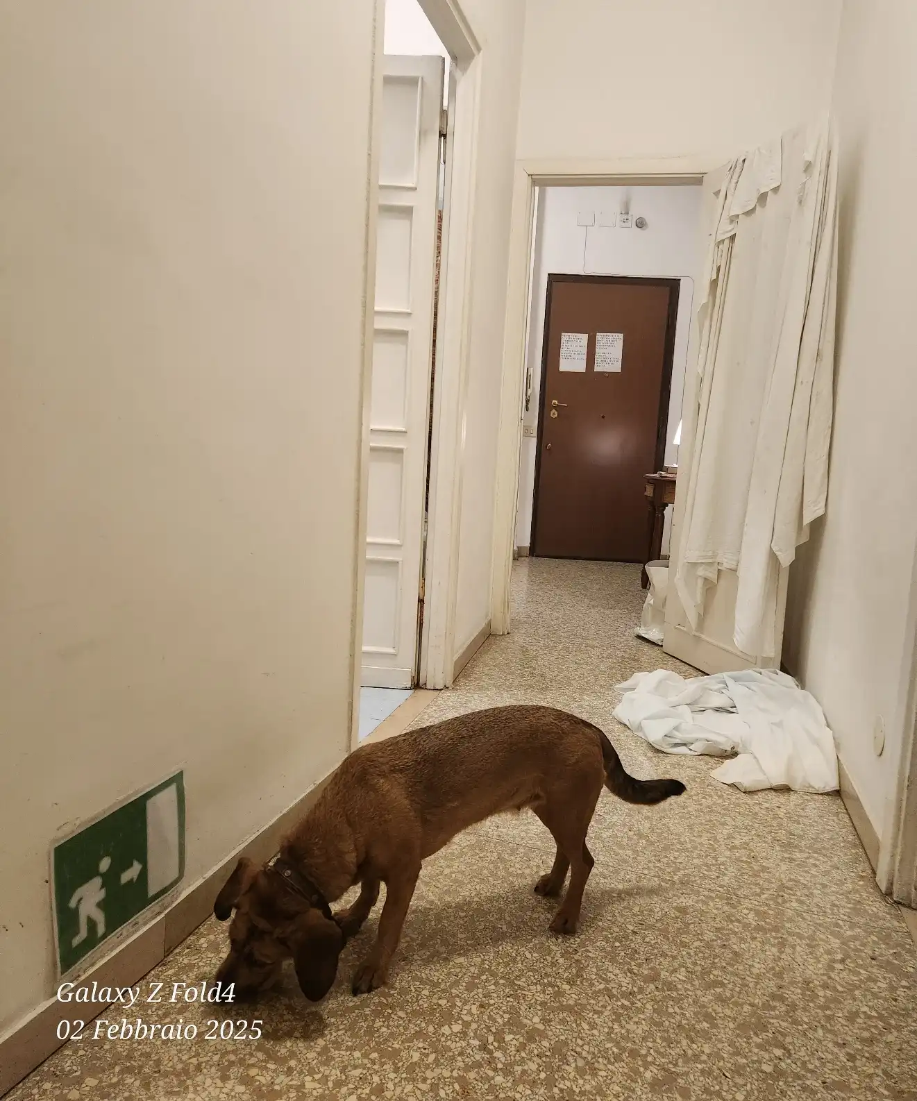image-36