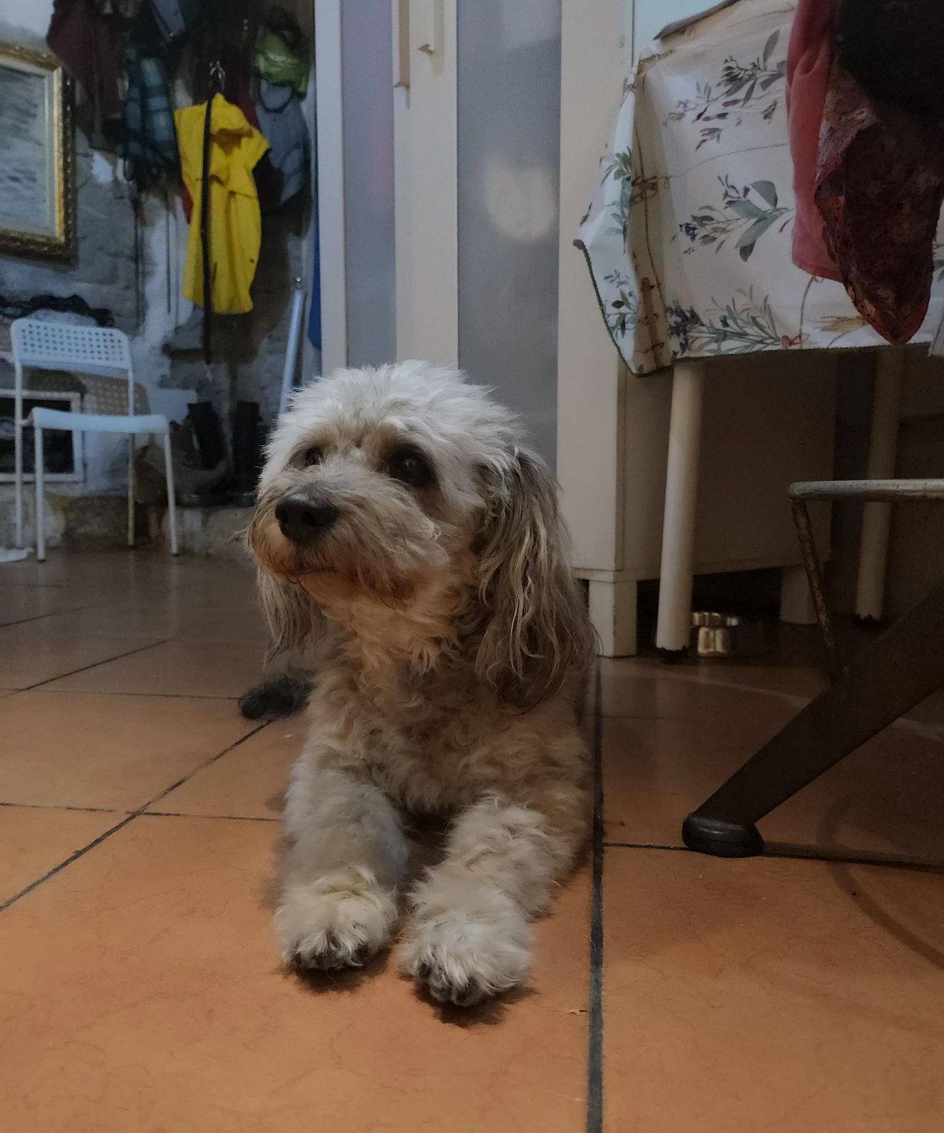 image-18