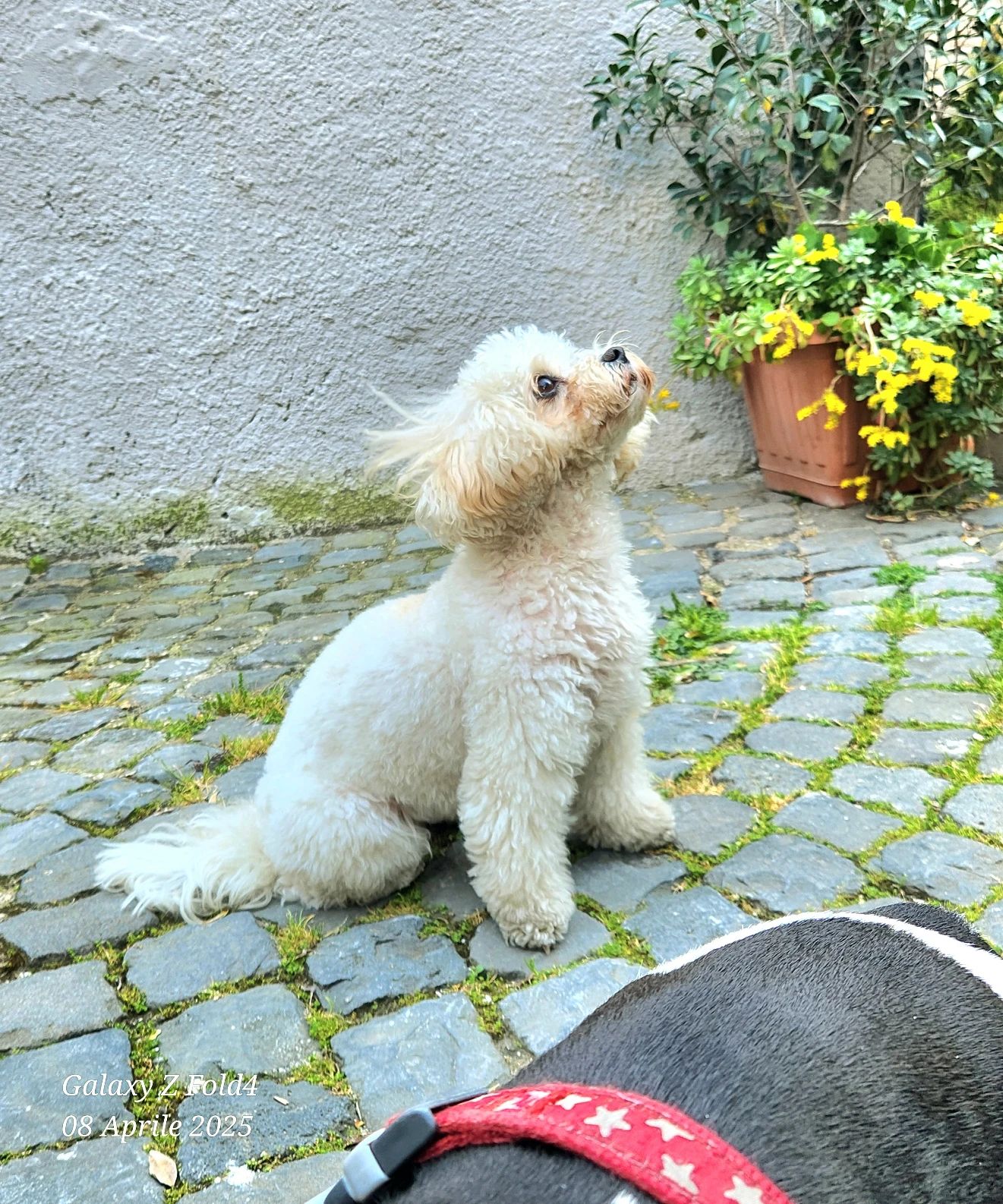 image-21