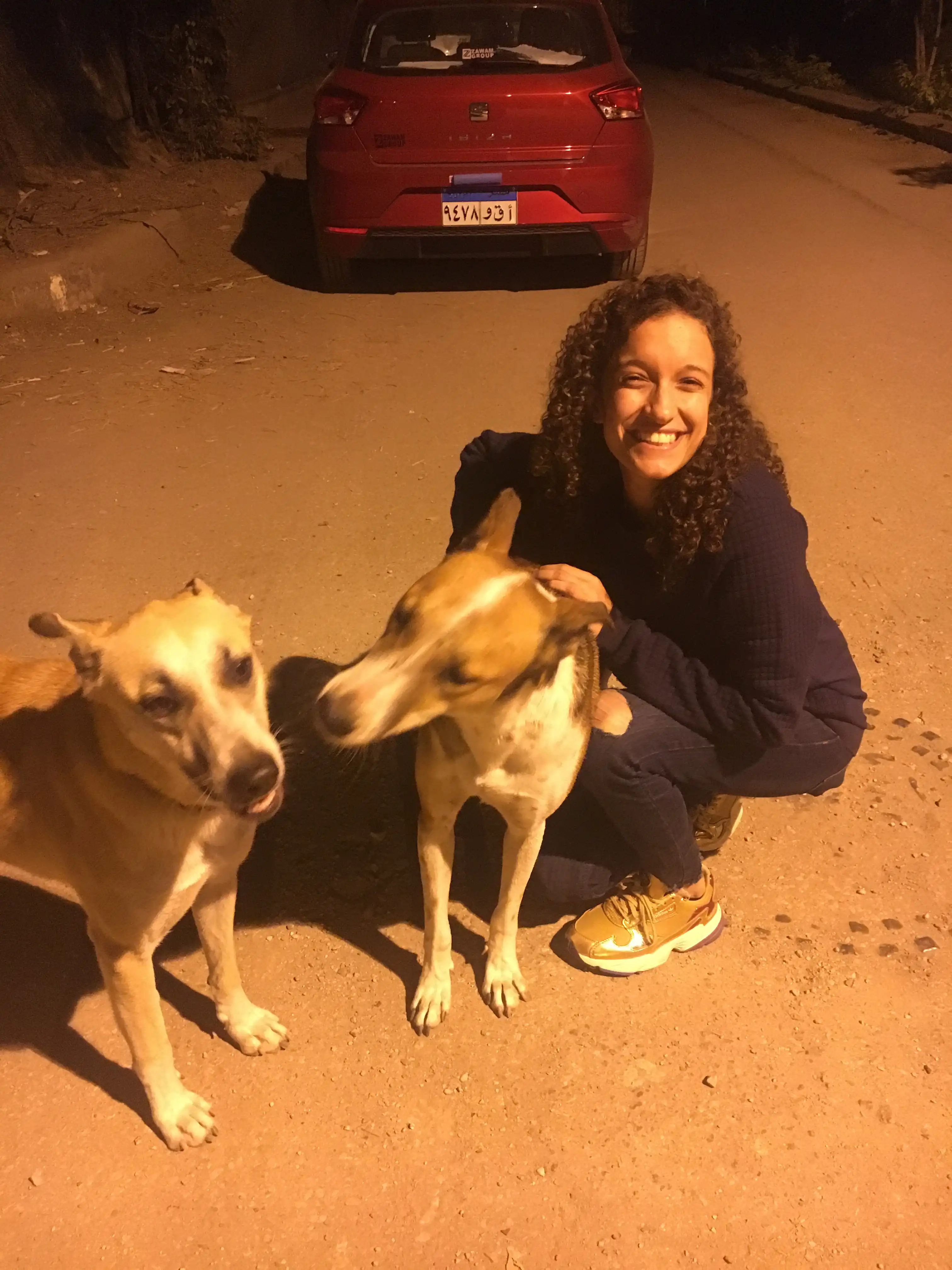 image-8