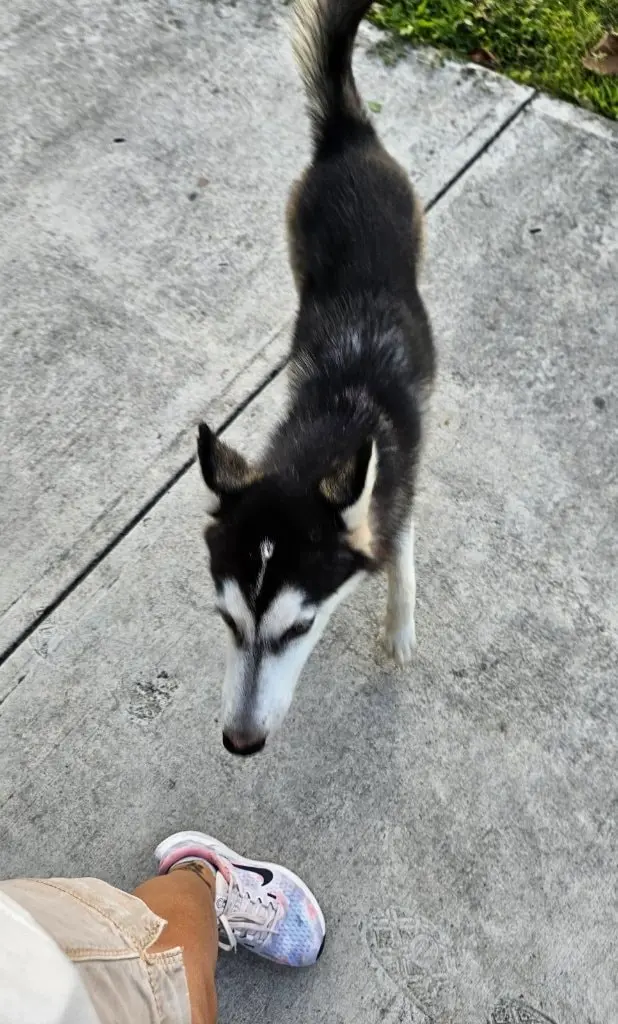 image-4