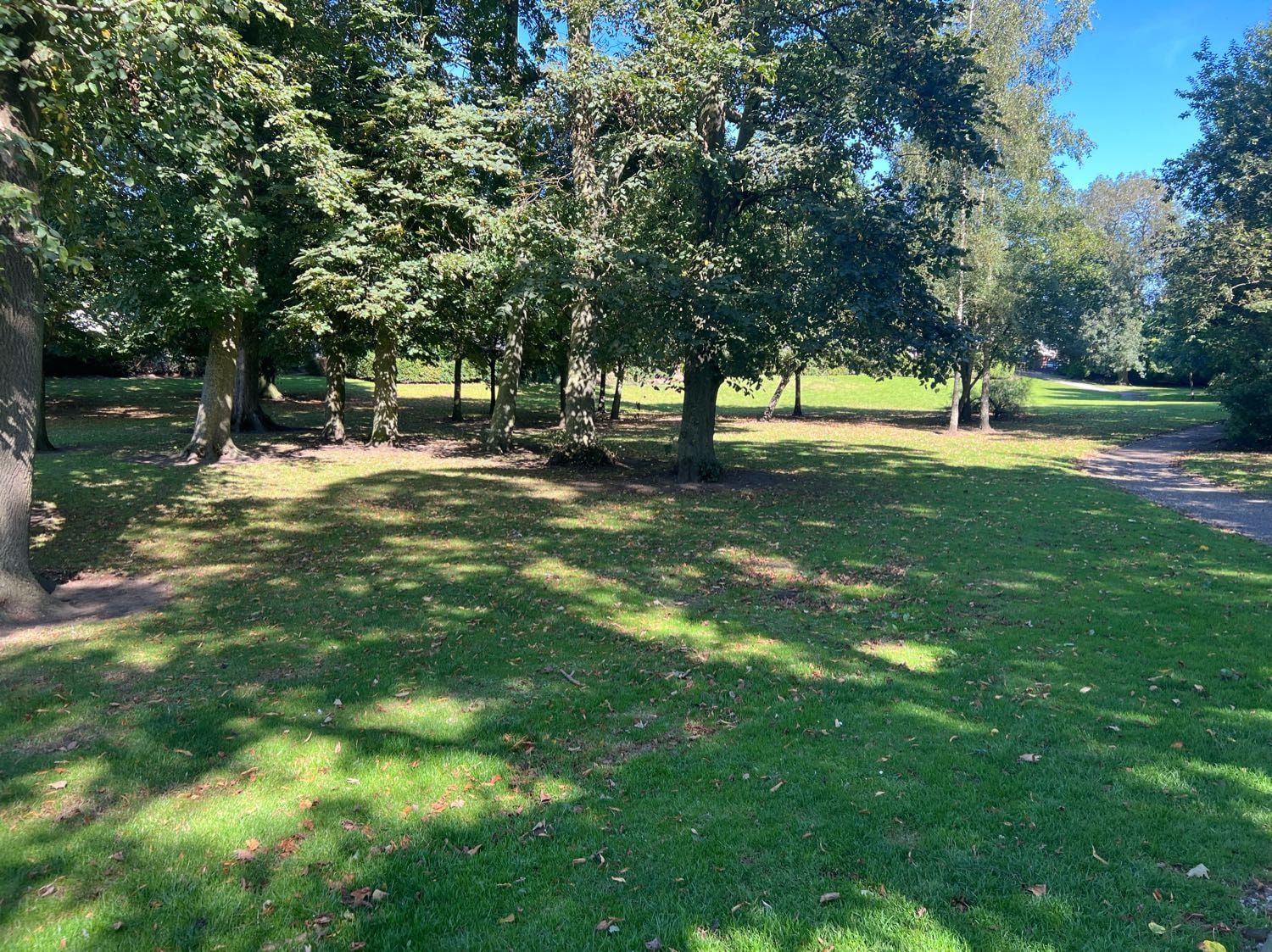 image-16