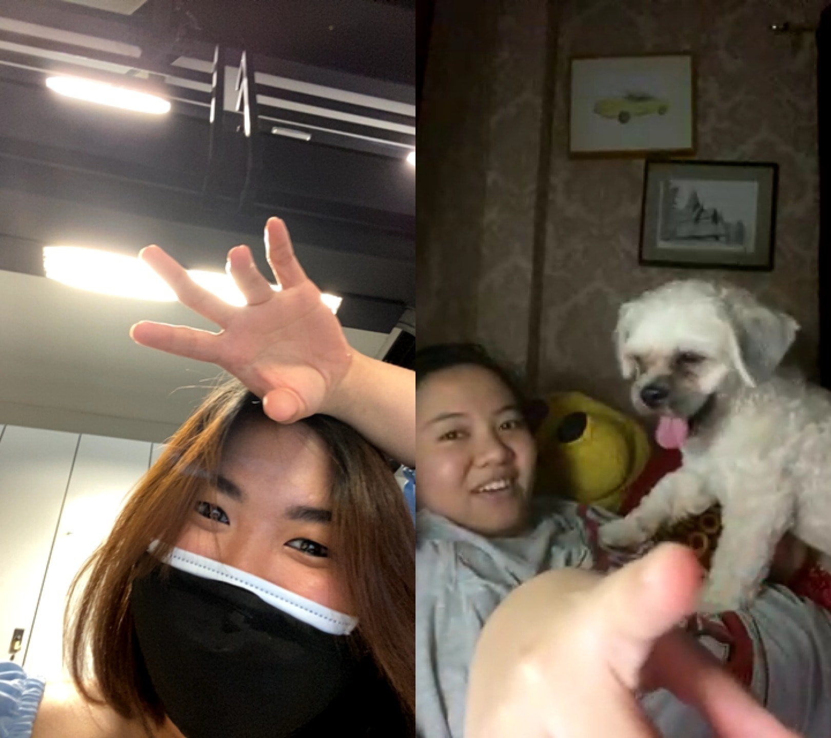 image-4
