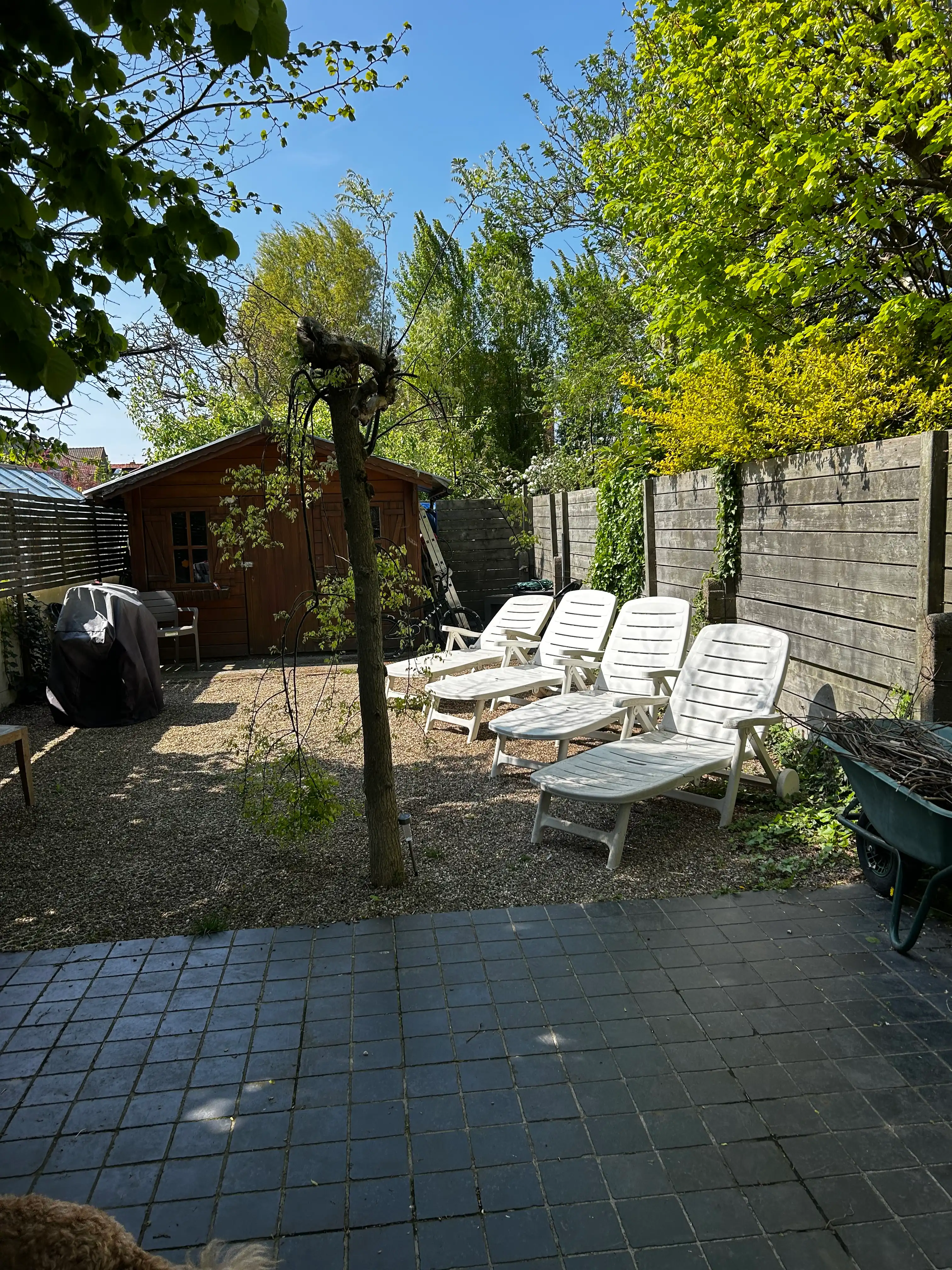 image-29