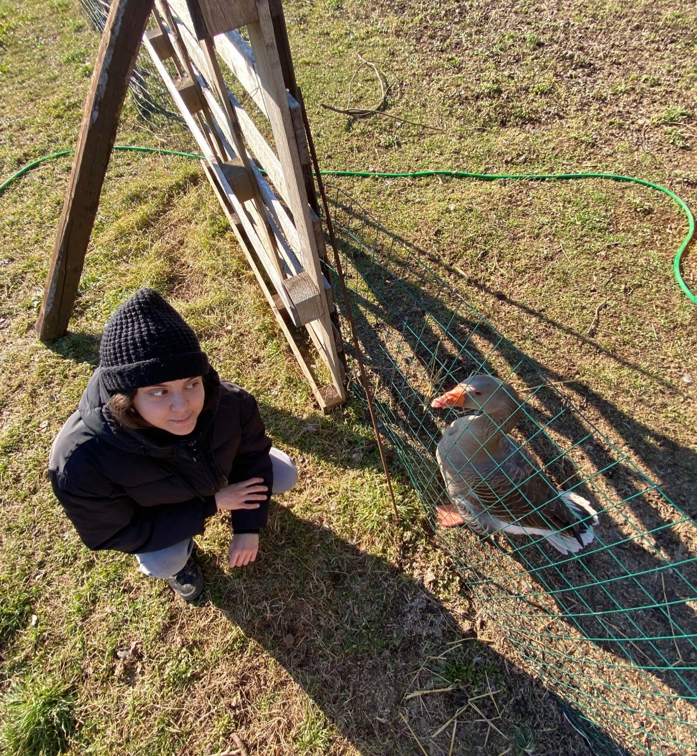 image-4