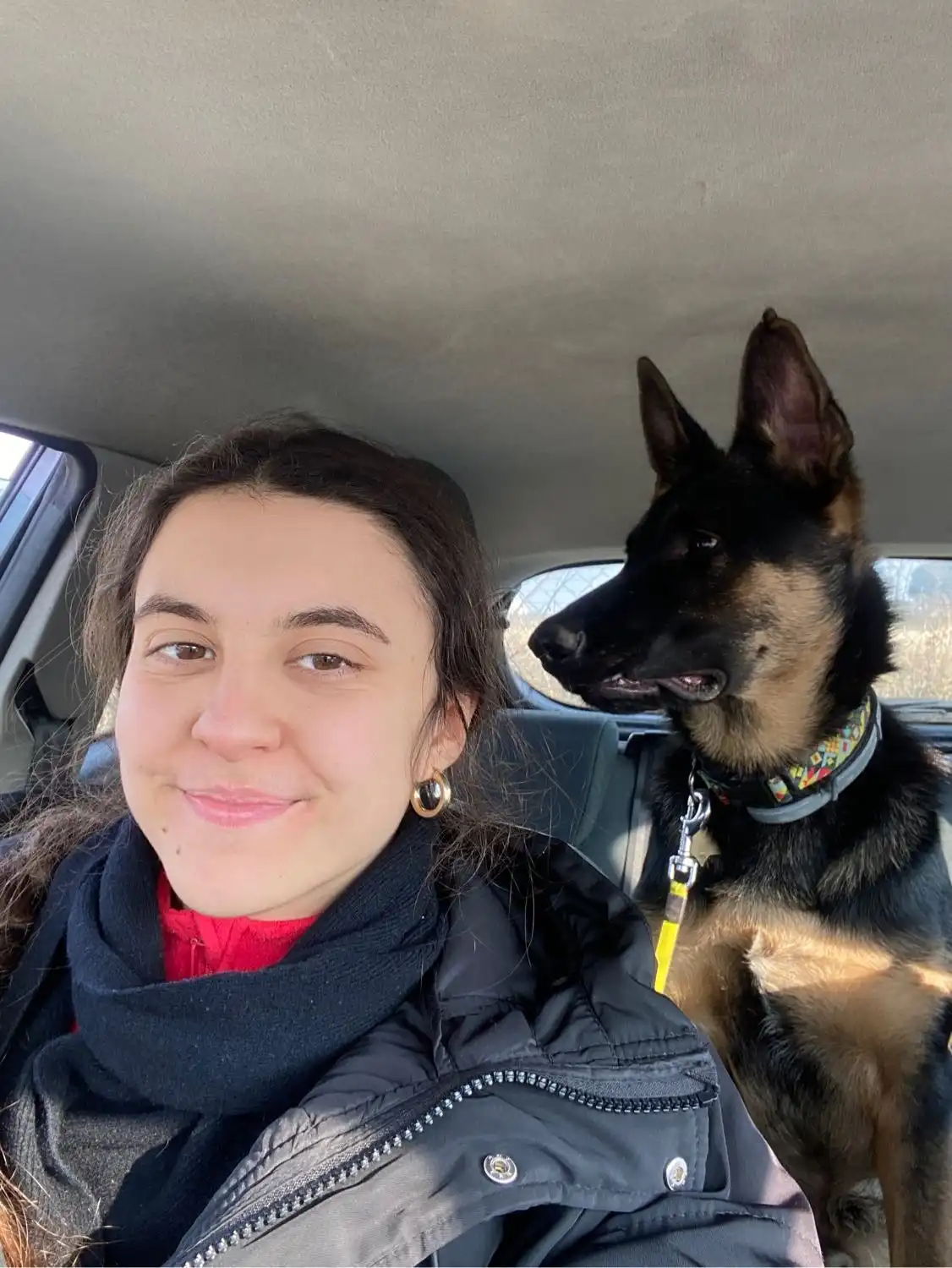 image-6
