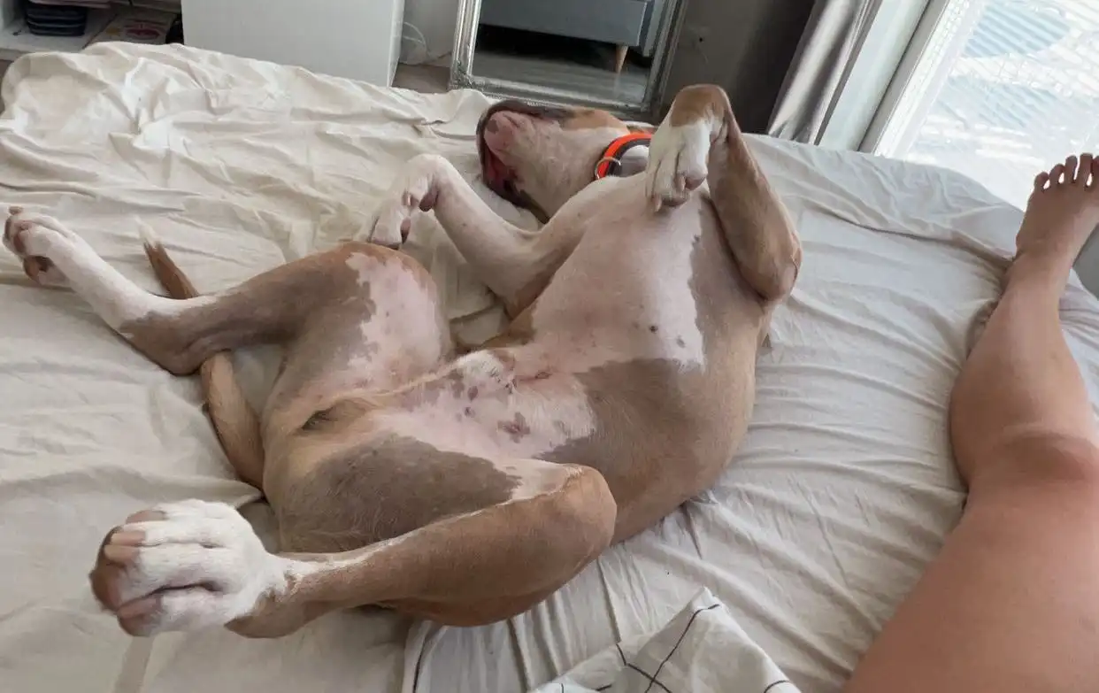 image-6