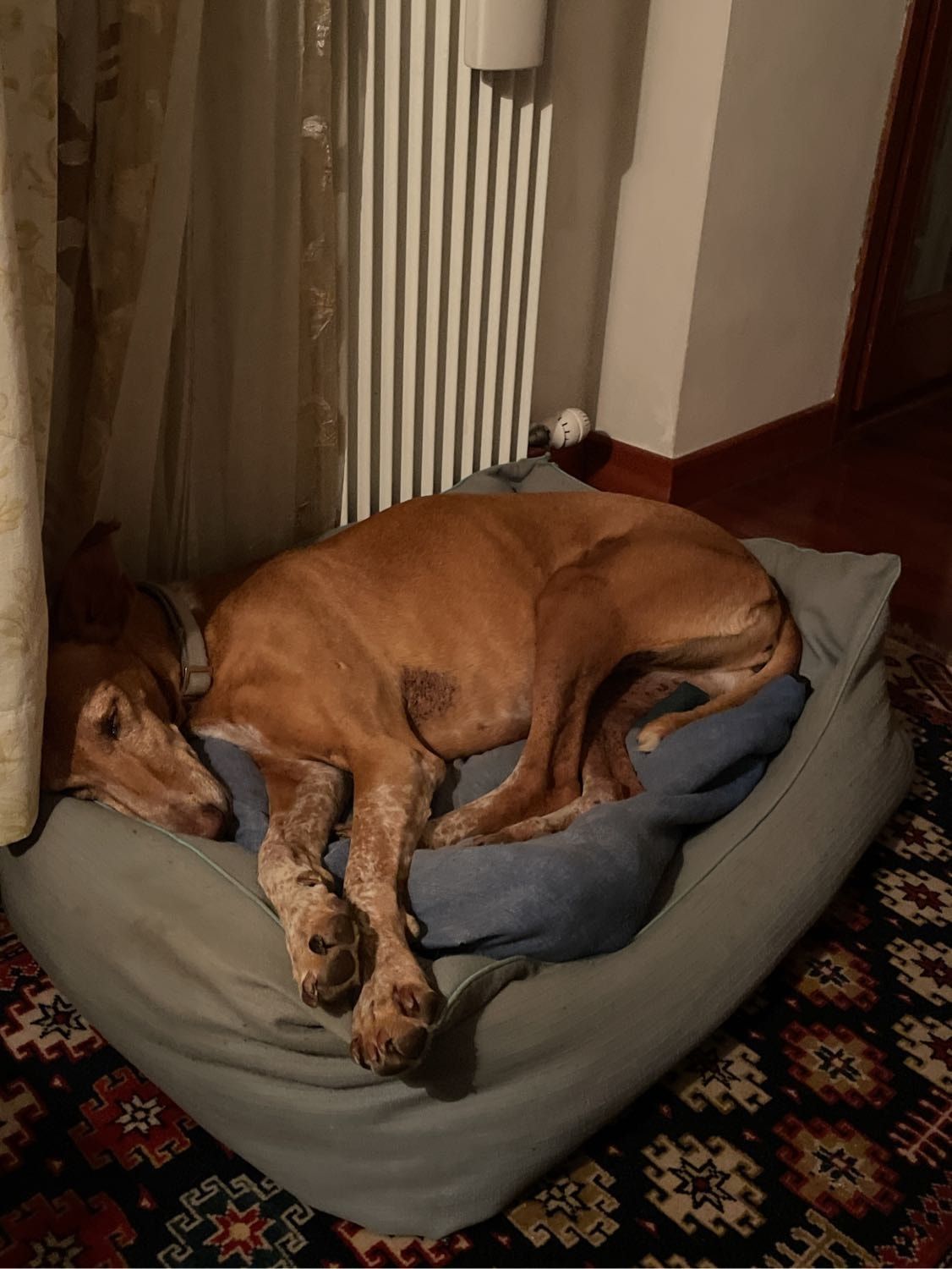image-8