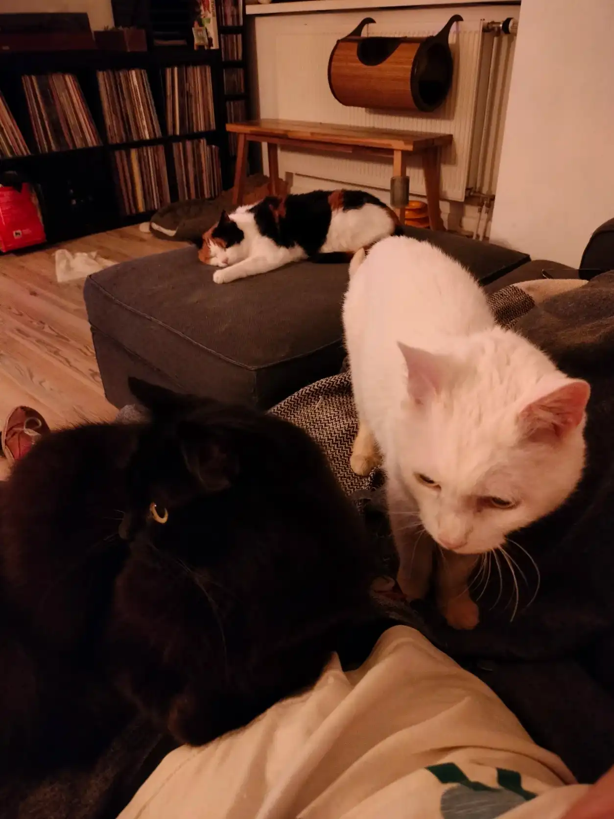 image-10