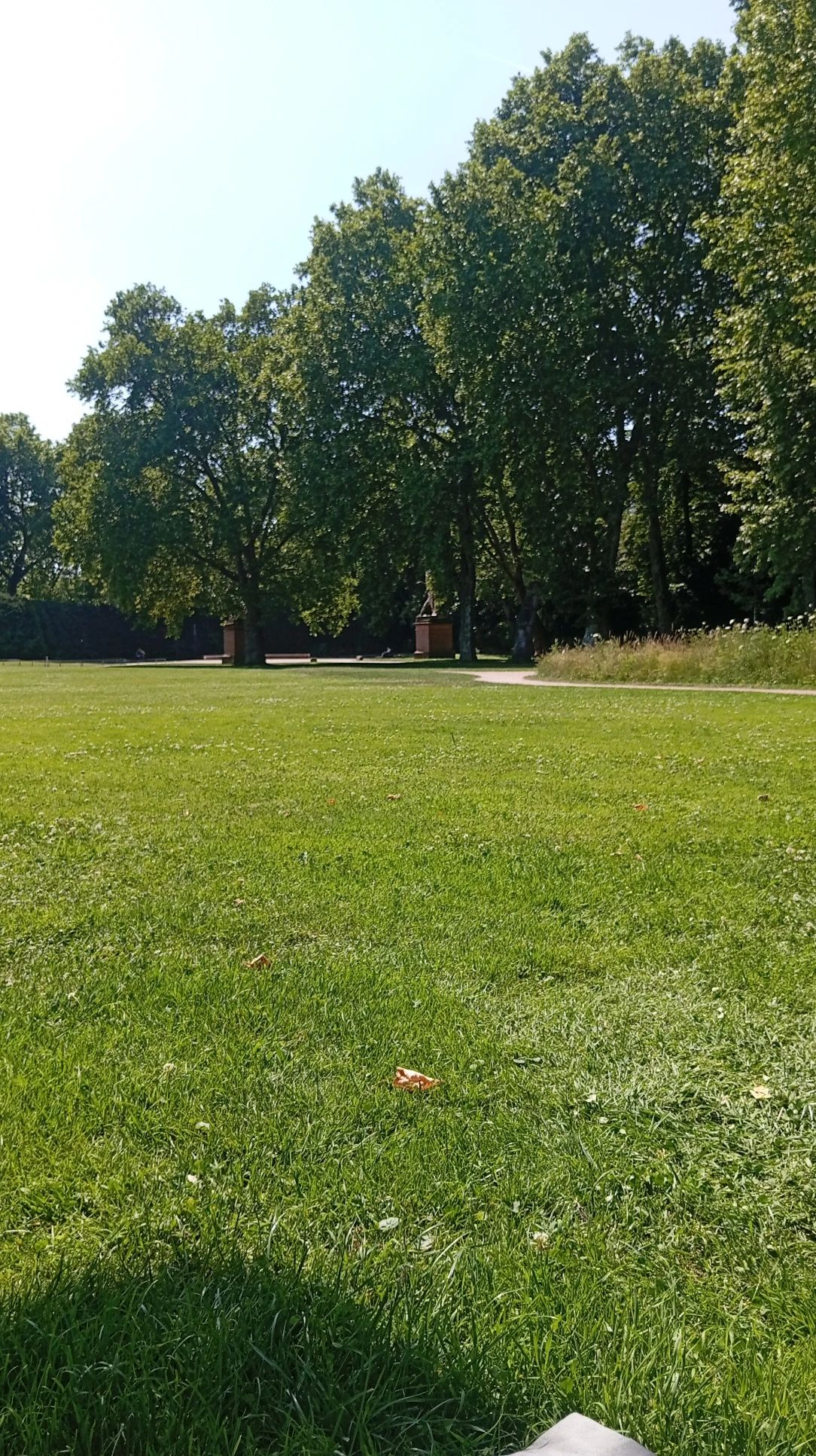 image-16