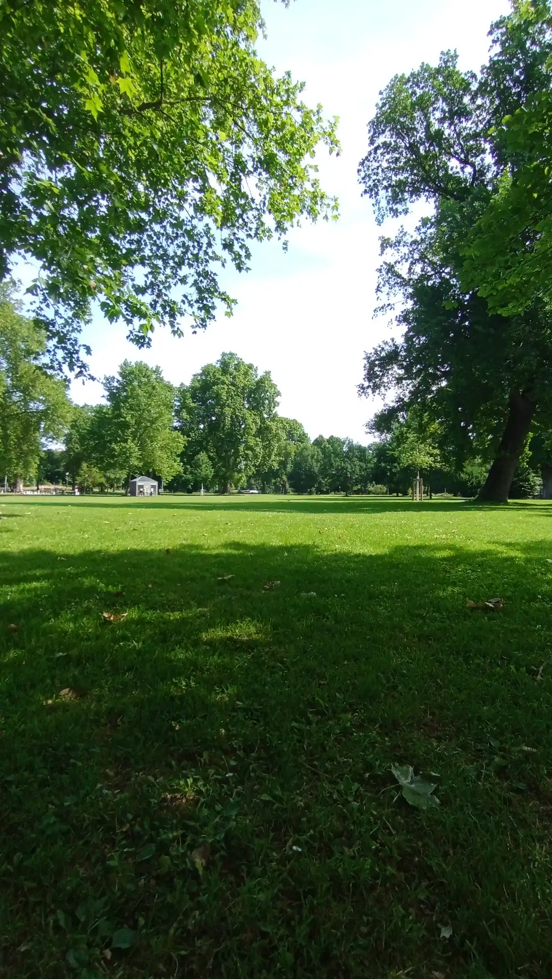 image-15
