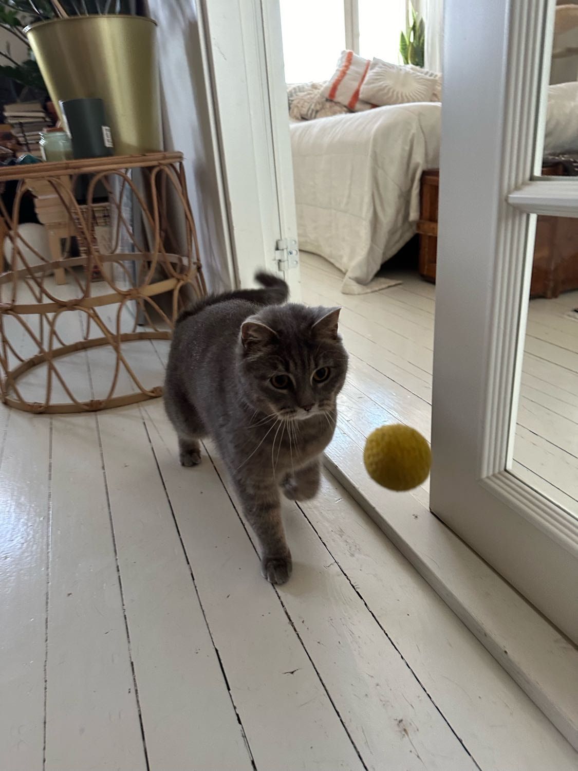 image-11