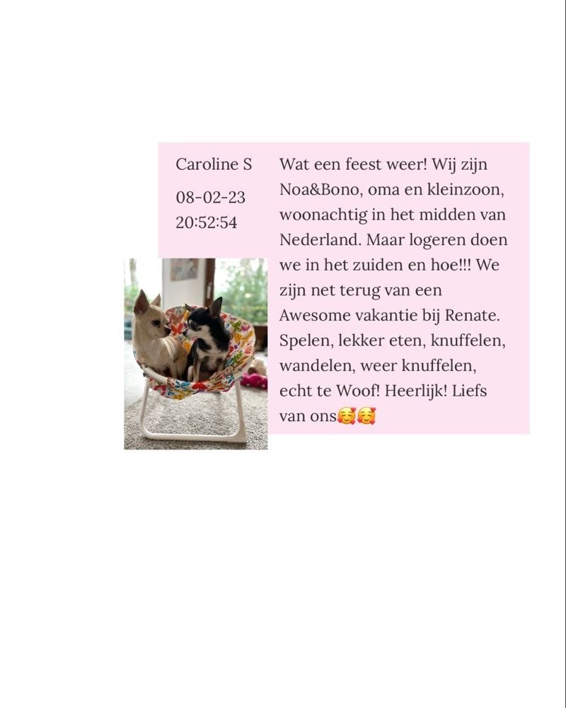 image-21