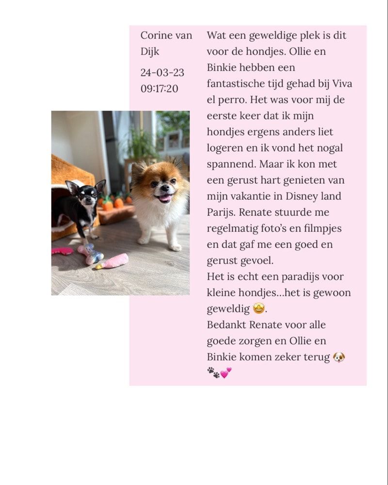 image-18
