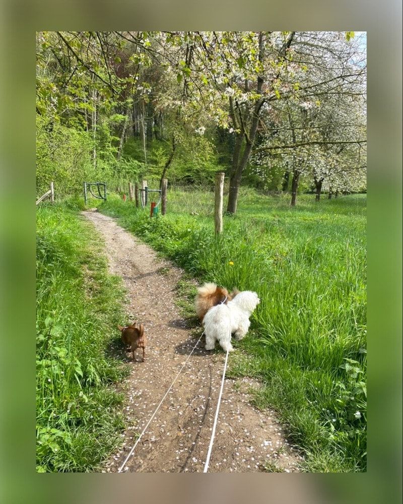 image-17