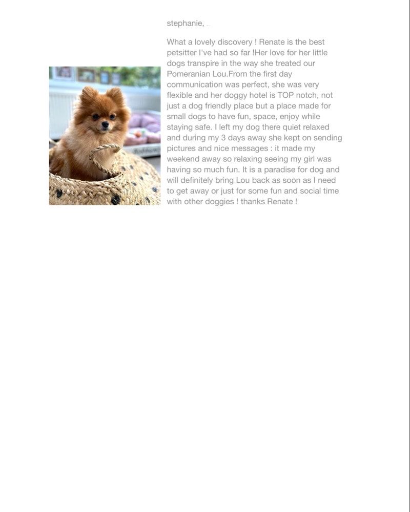 image-19
