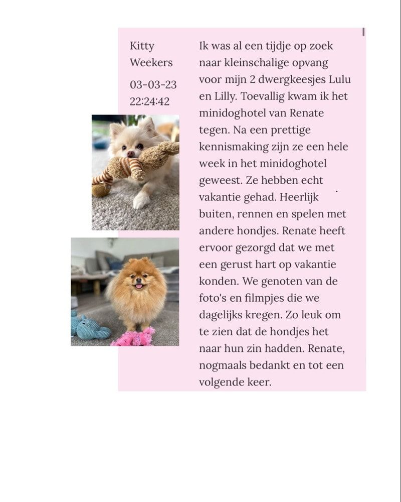 image-23
