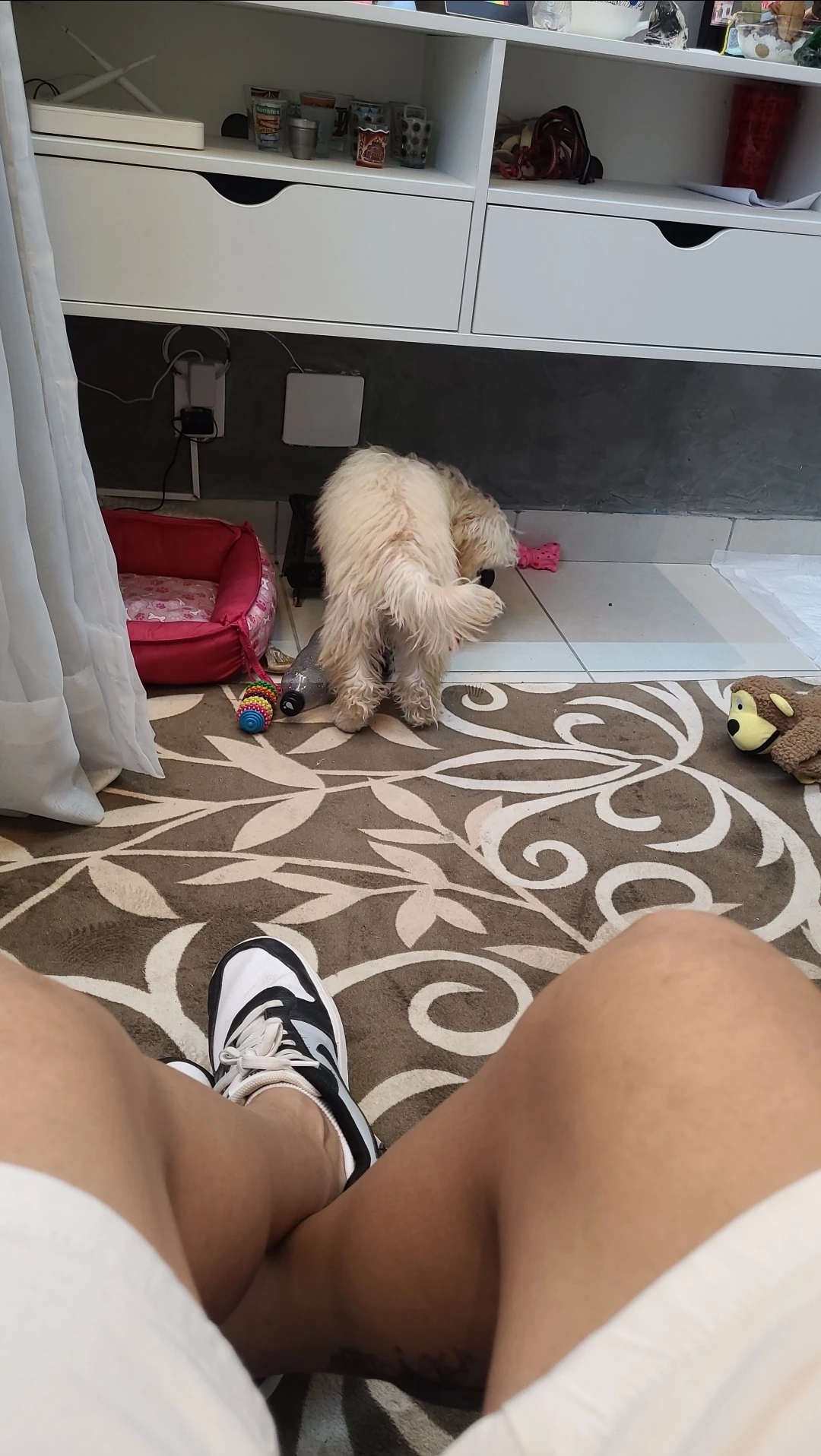 image-8