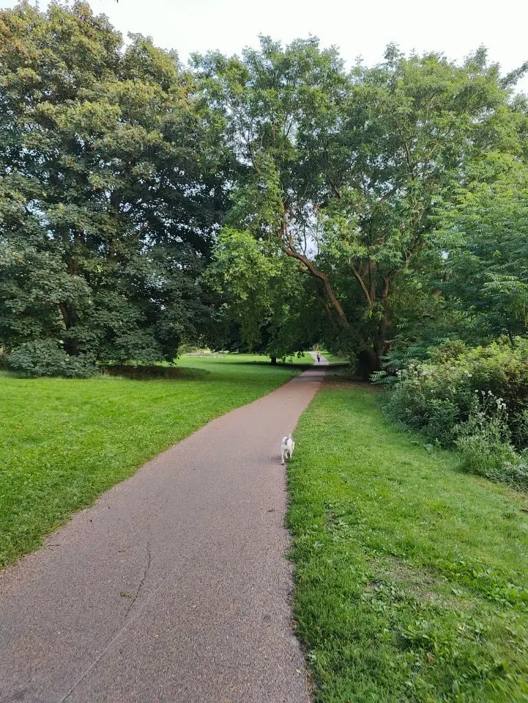 image-4
