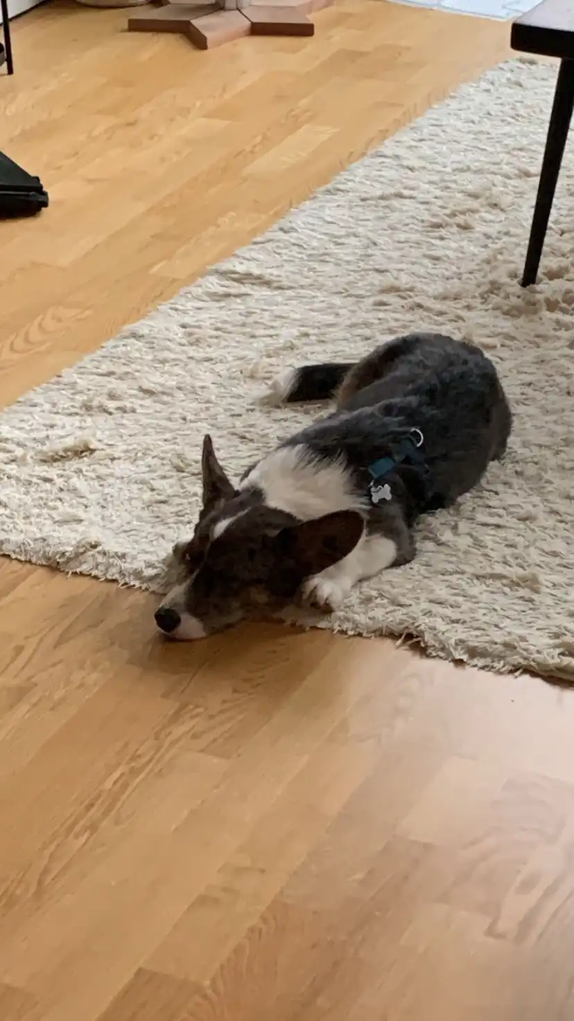 image-11