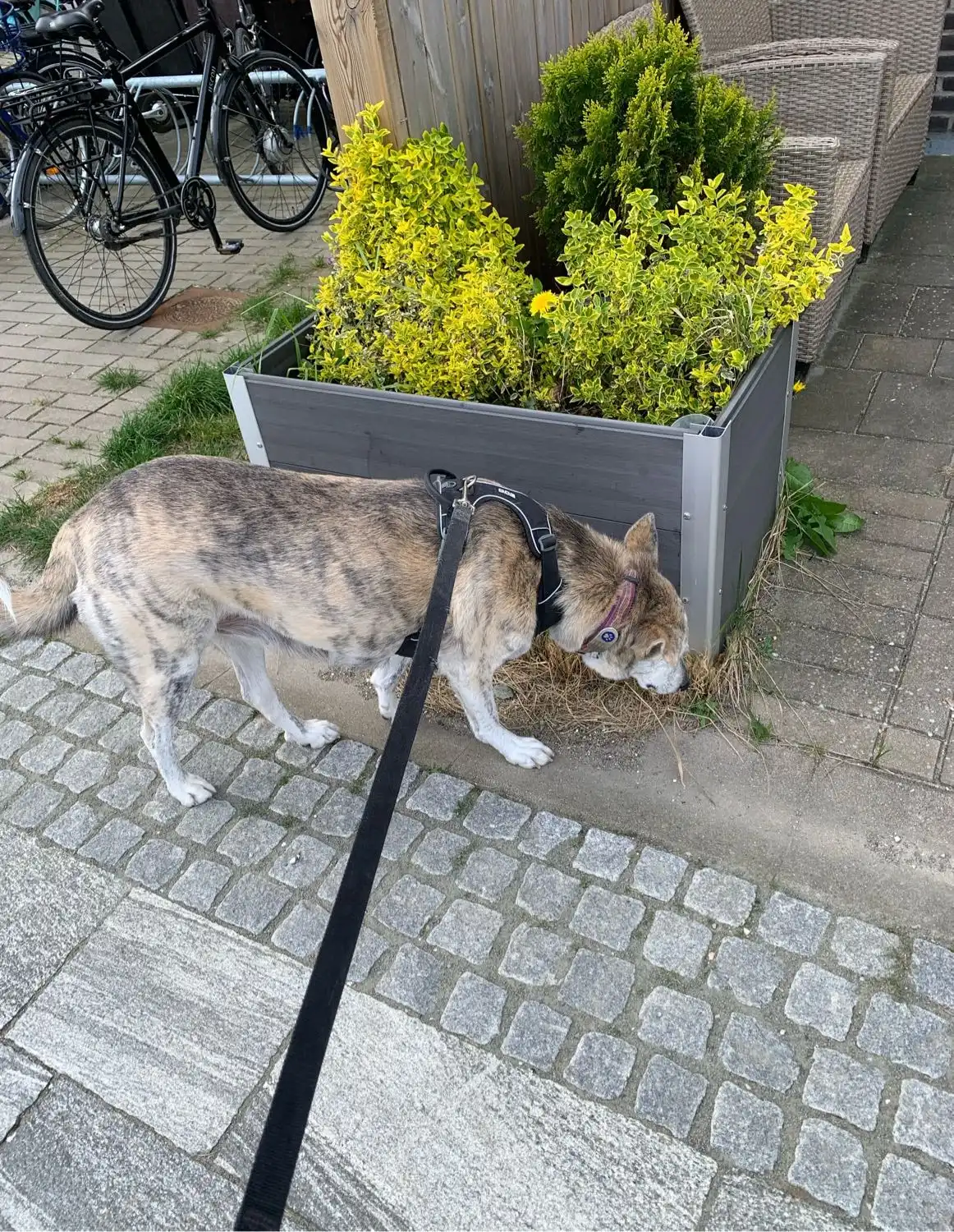 image-15