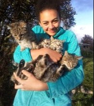 image-6