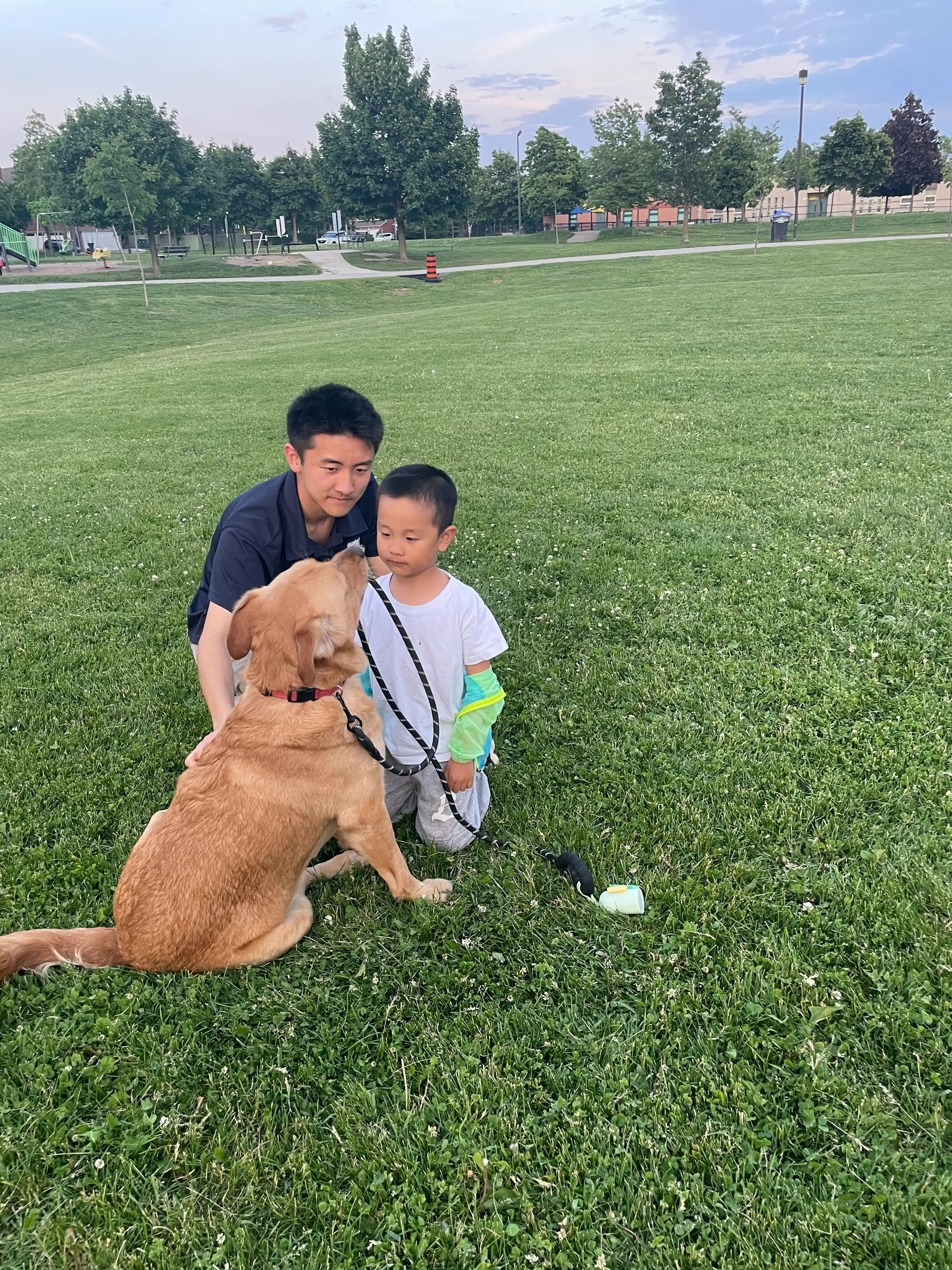 image-20