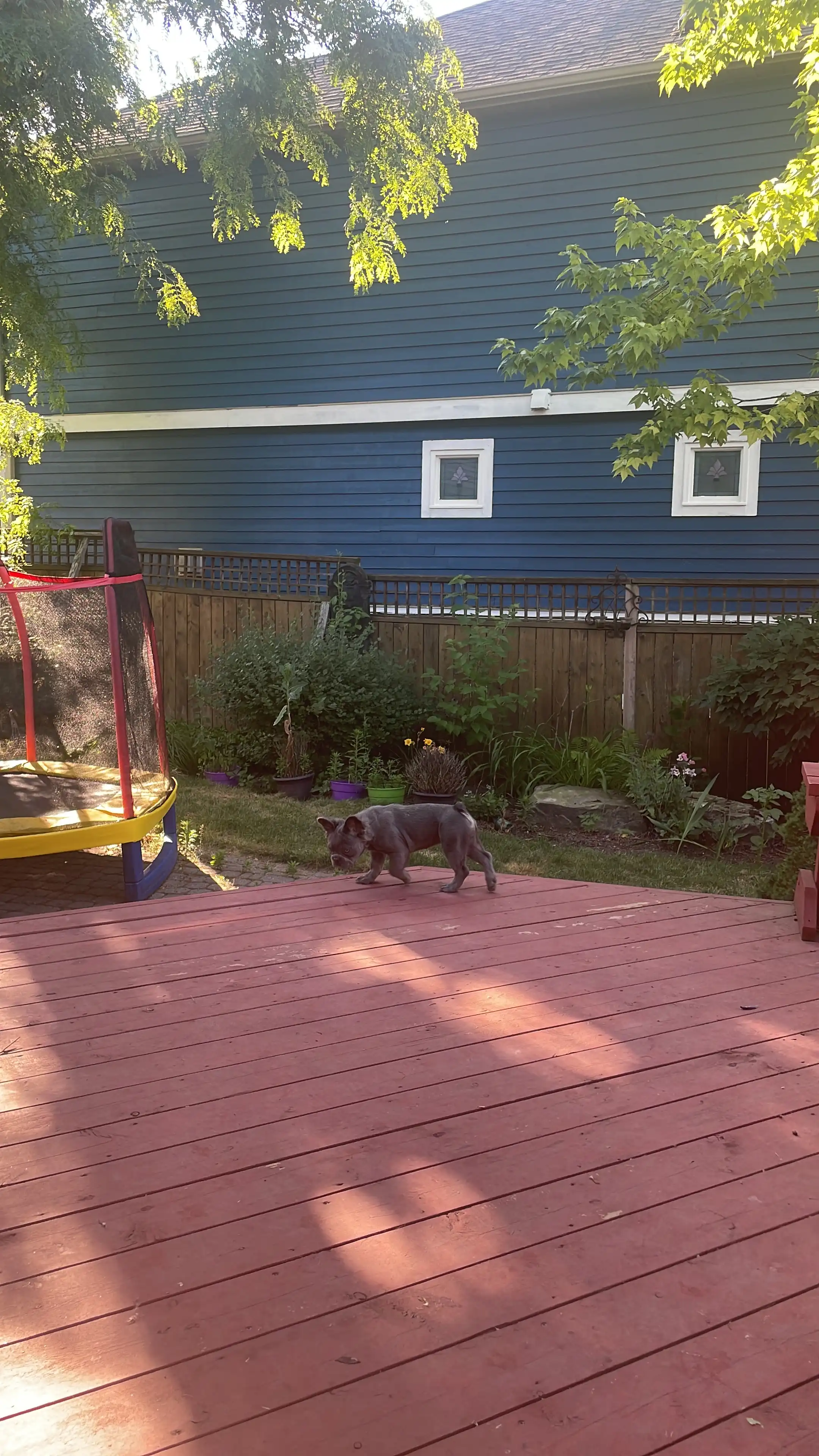 image-57