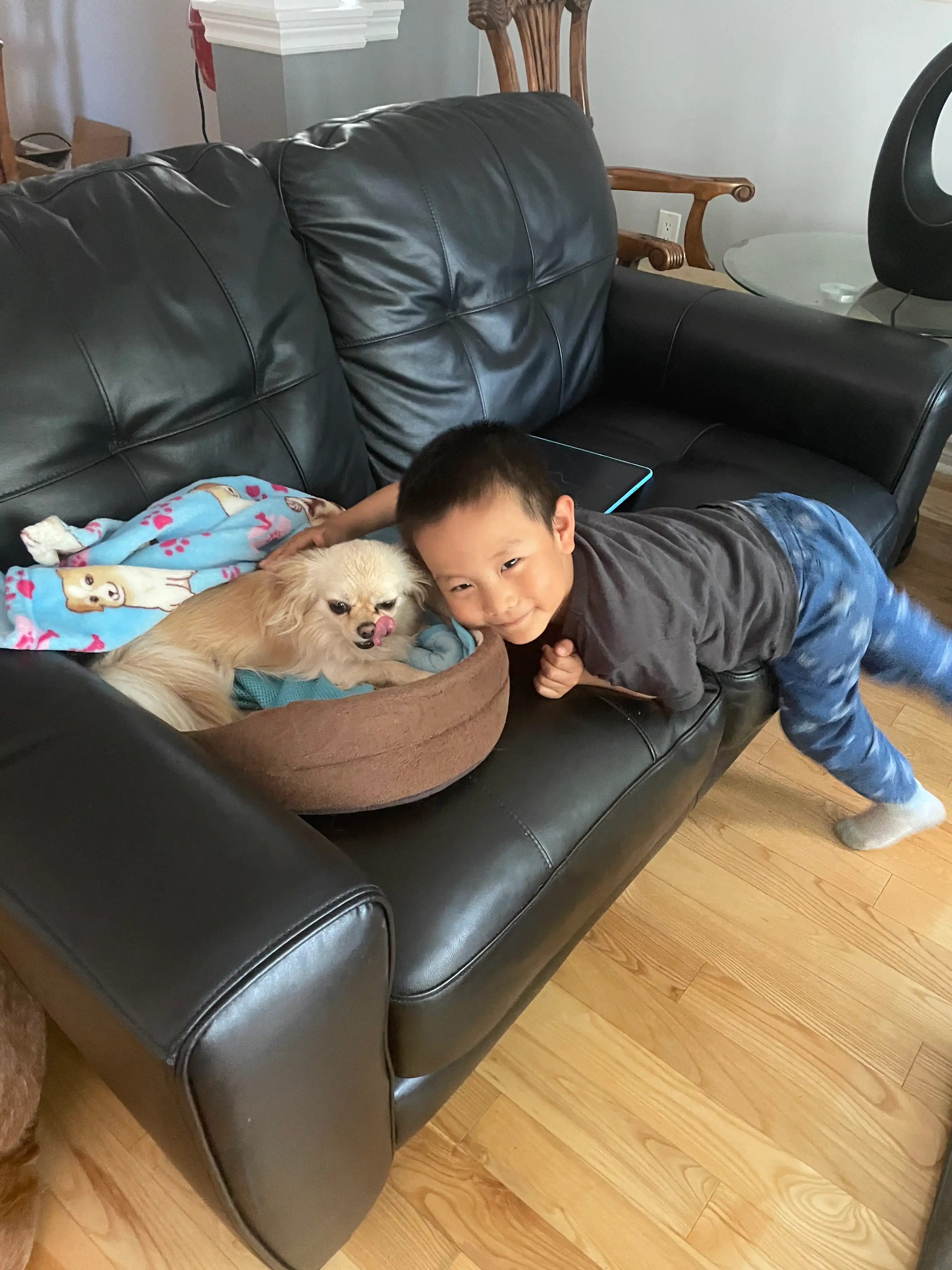 image-19