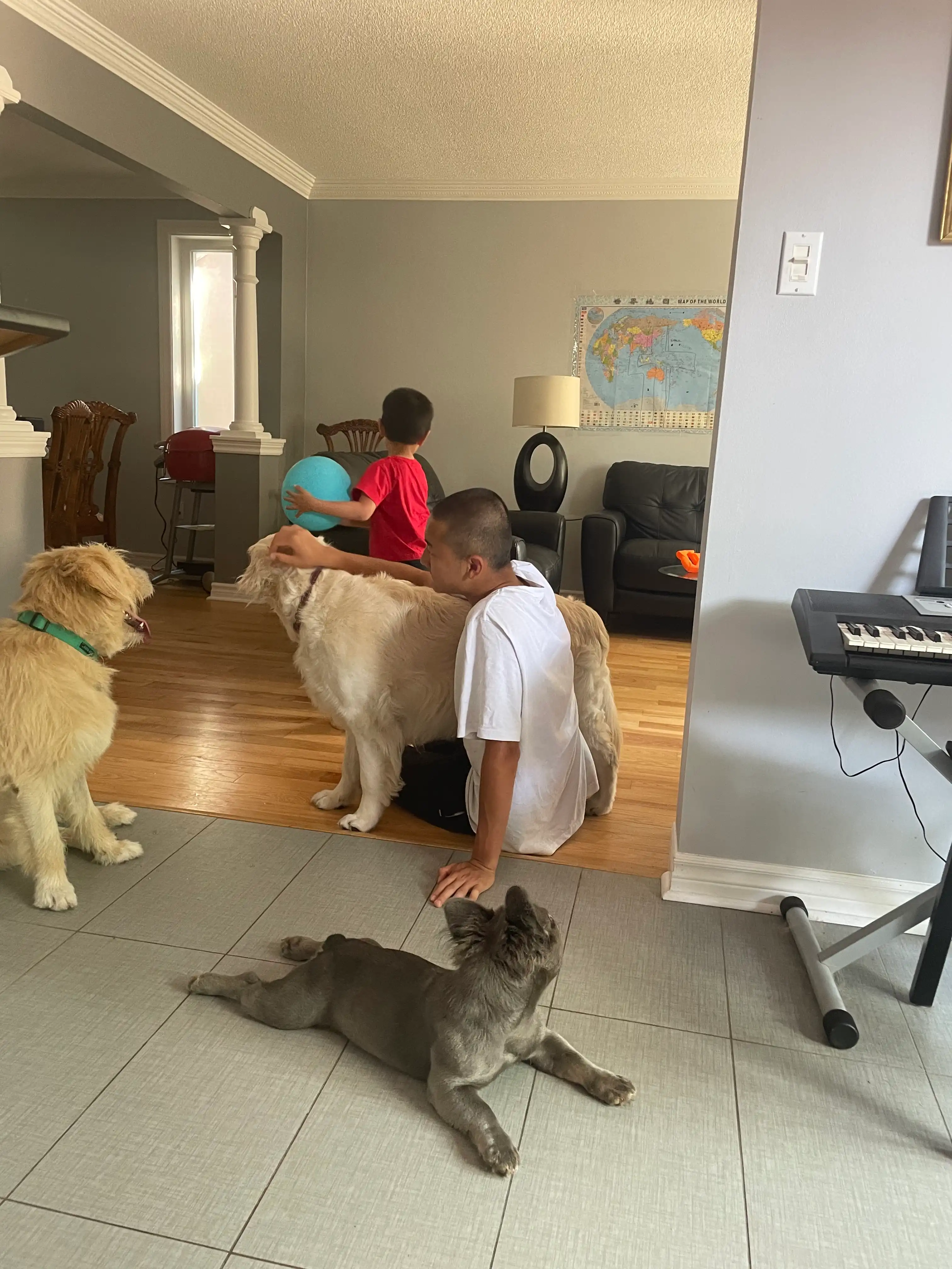 image-35