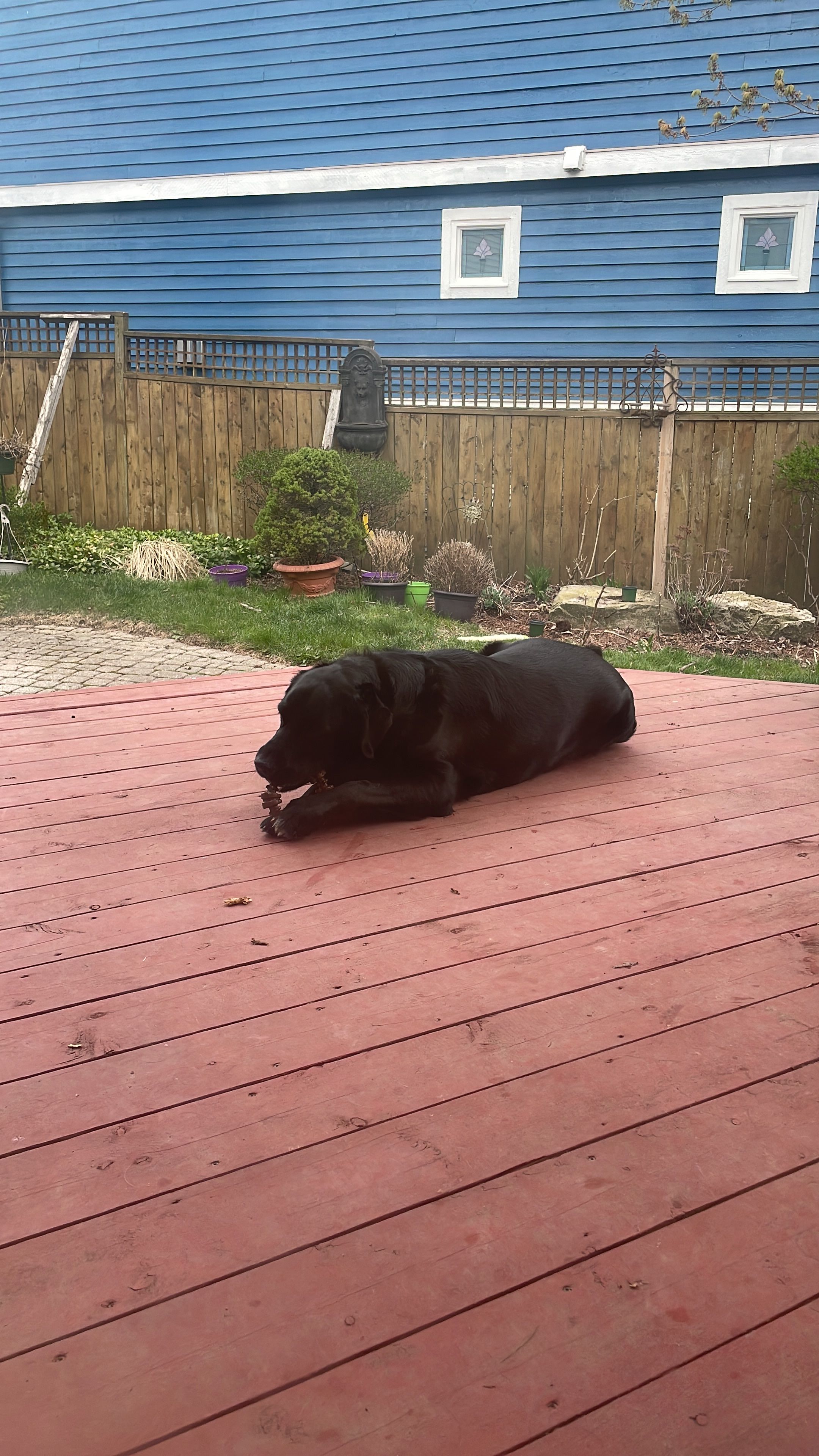 image-25