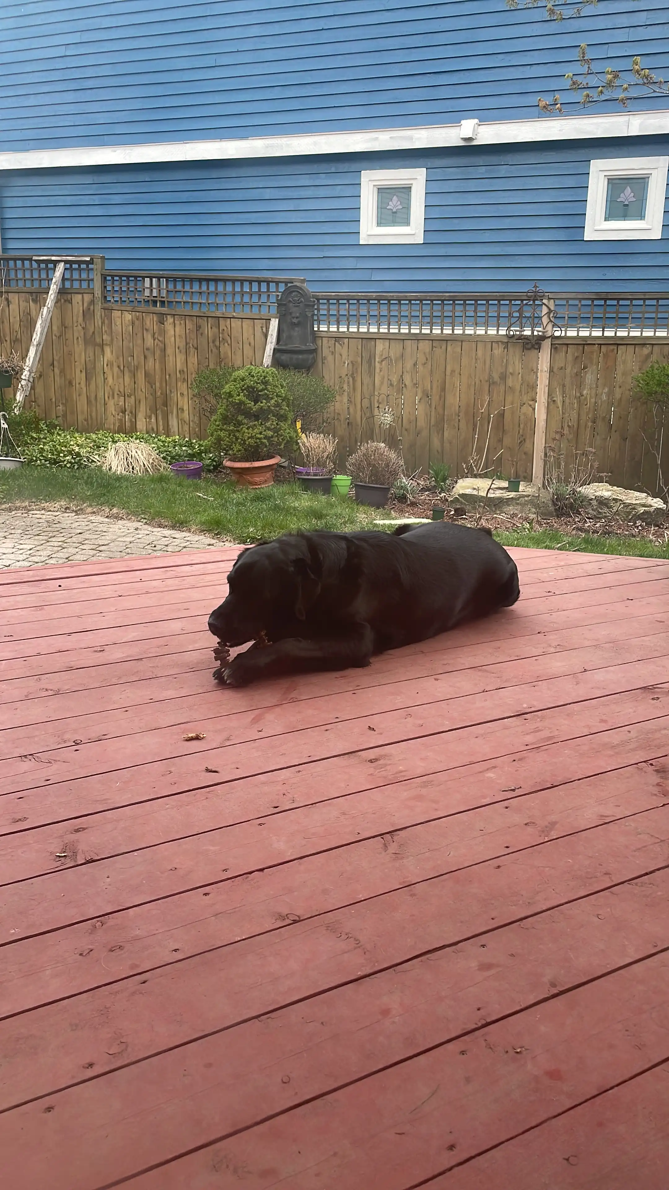 image-25