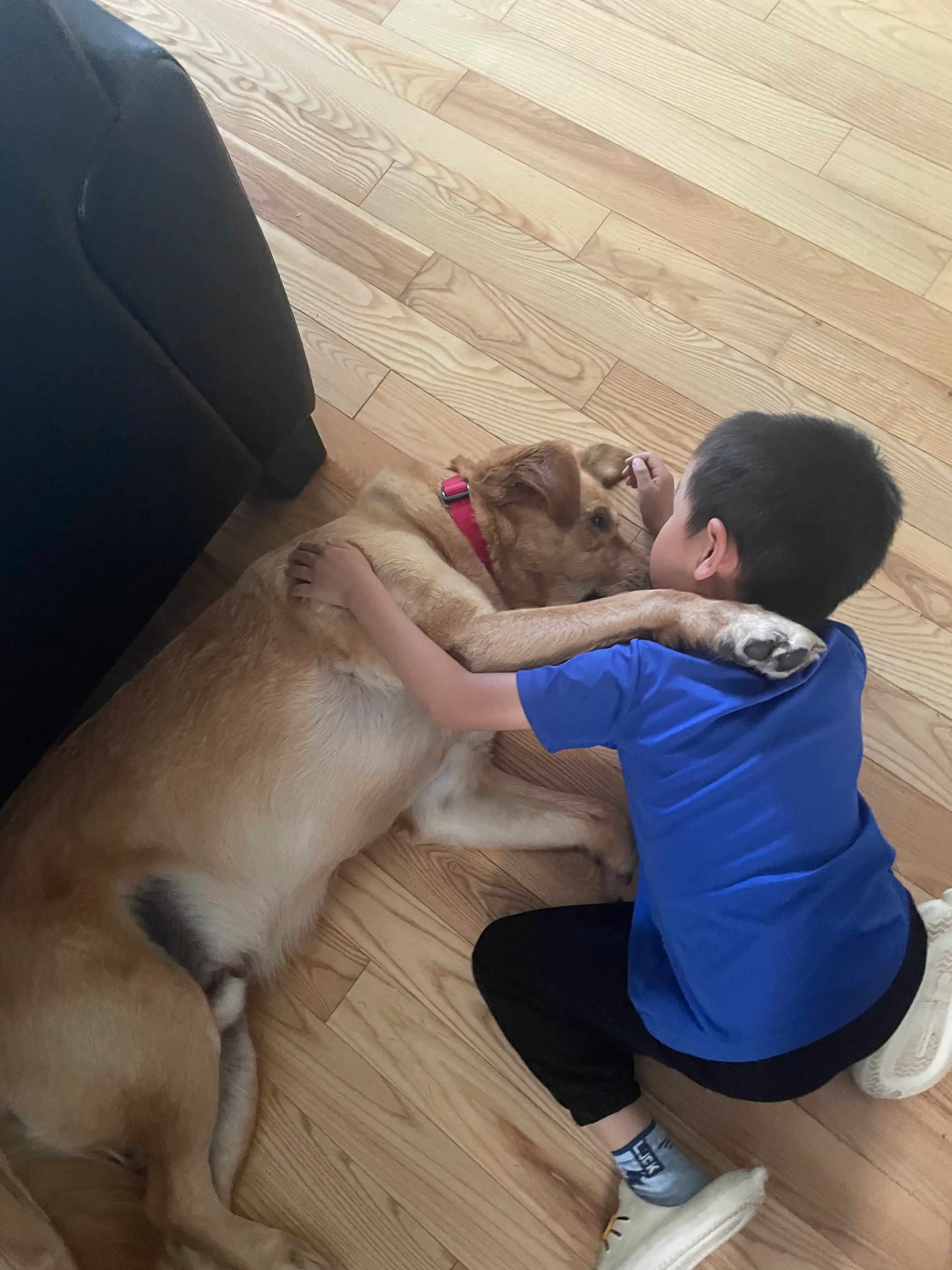 image-37