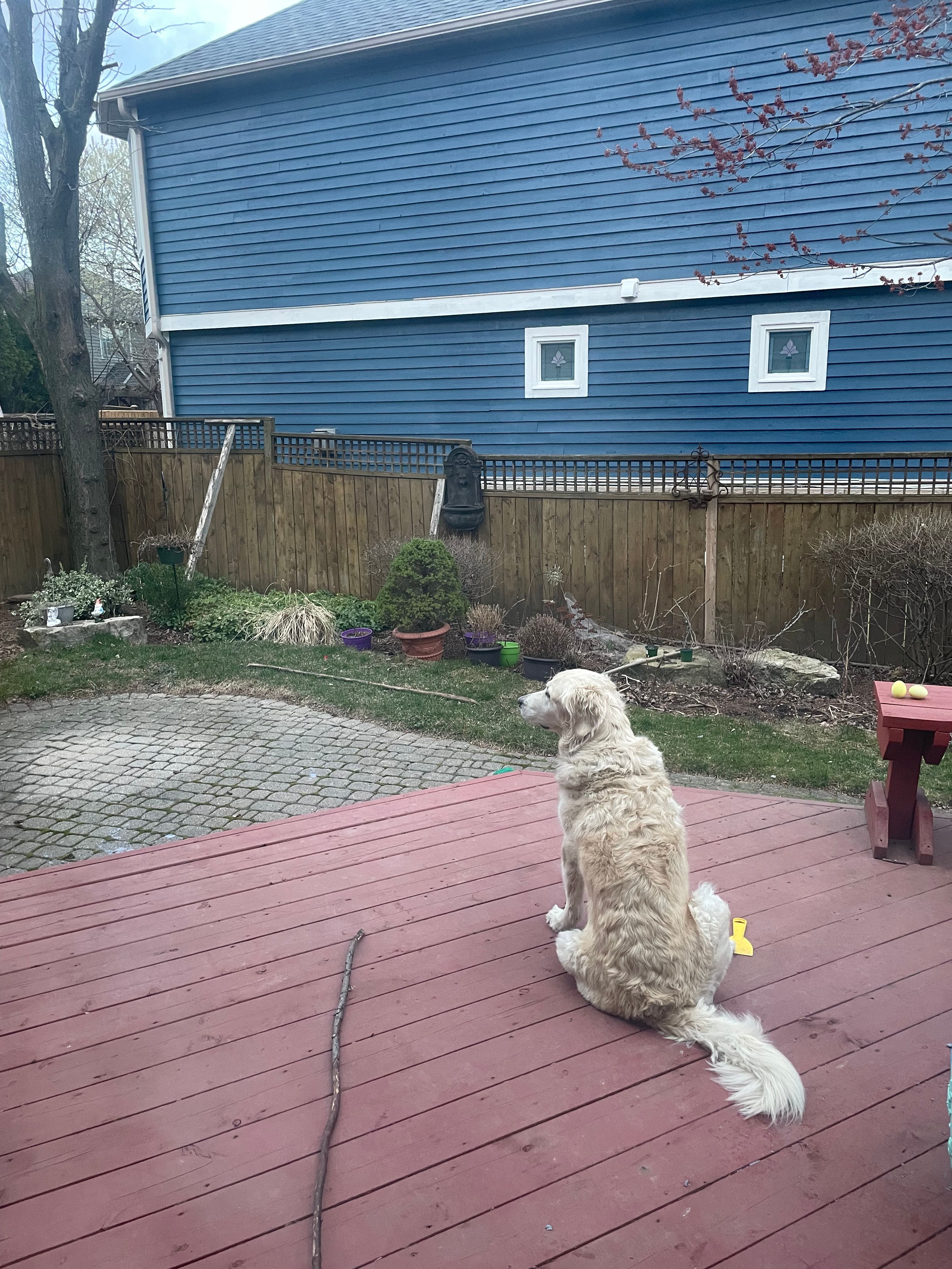 image-18